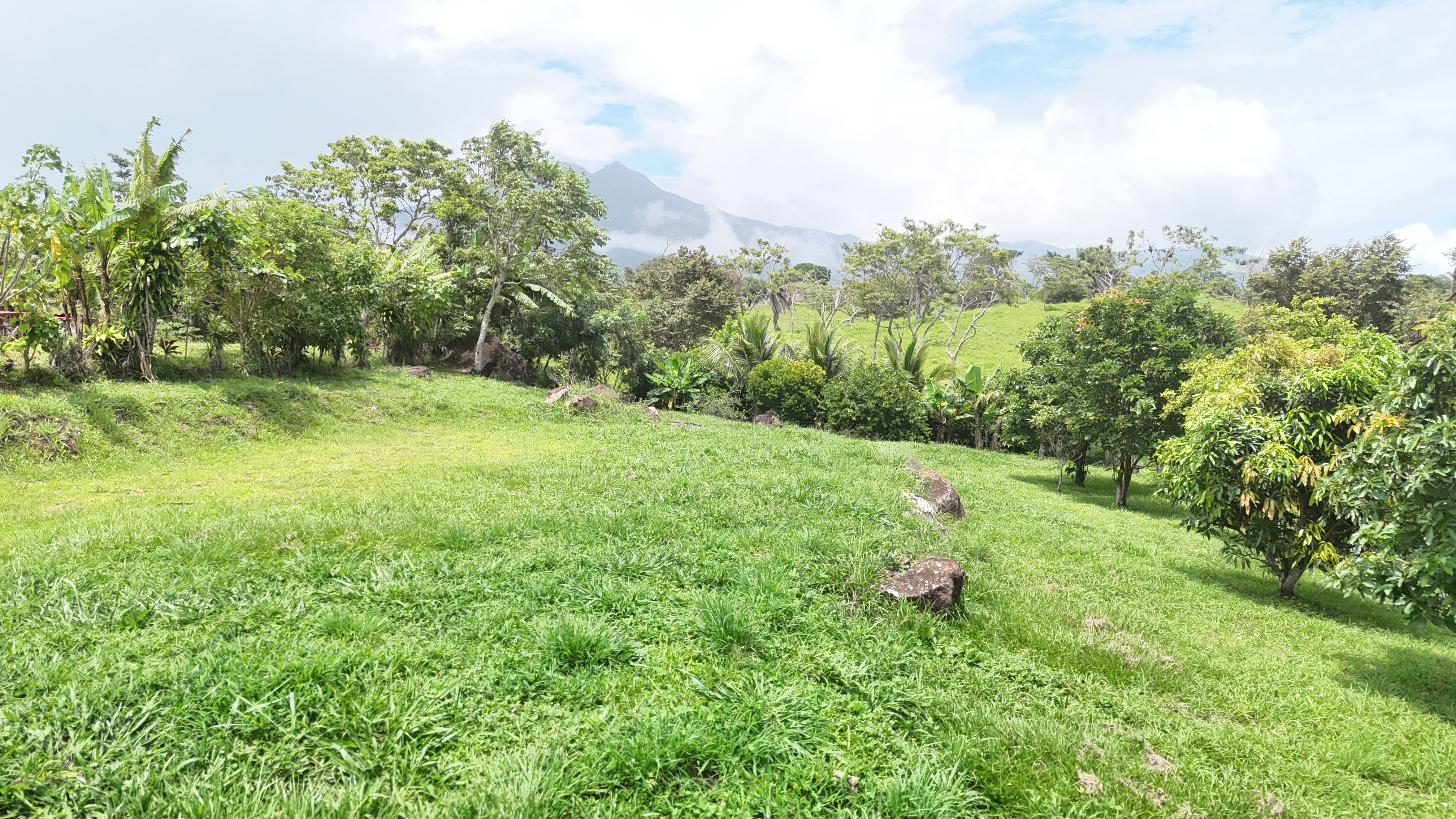 LOTE EN VENTA - FORTUNA | BAGACES