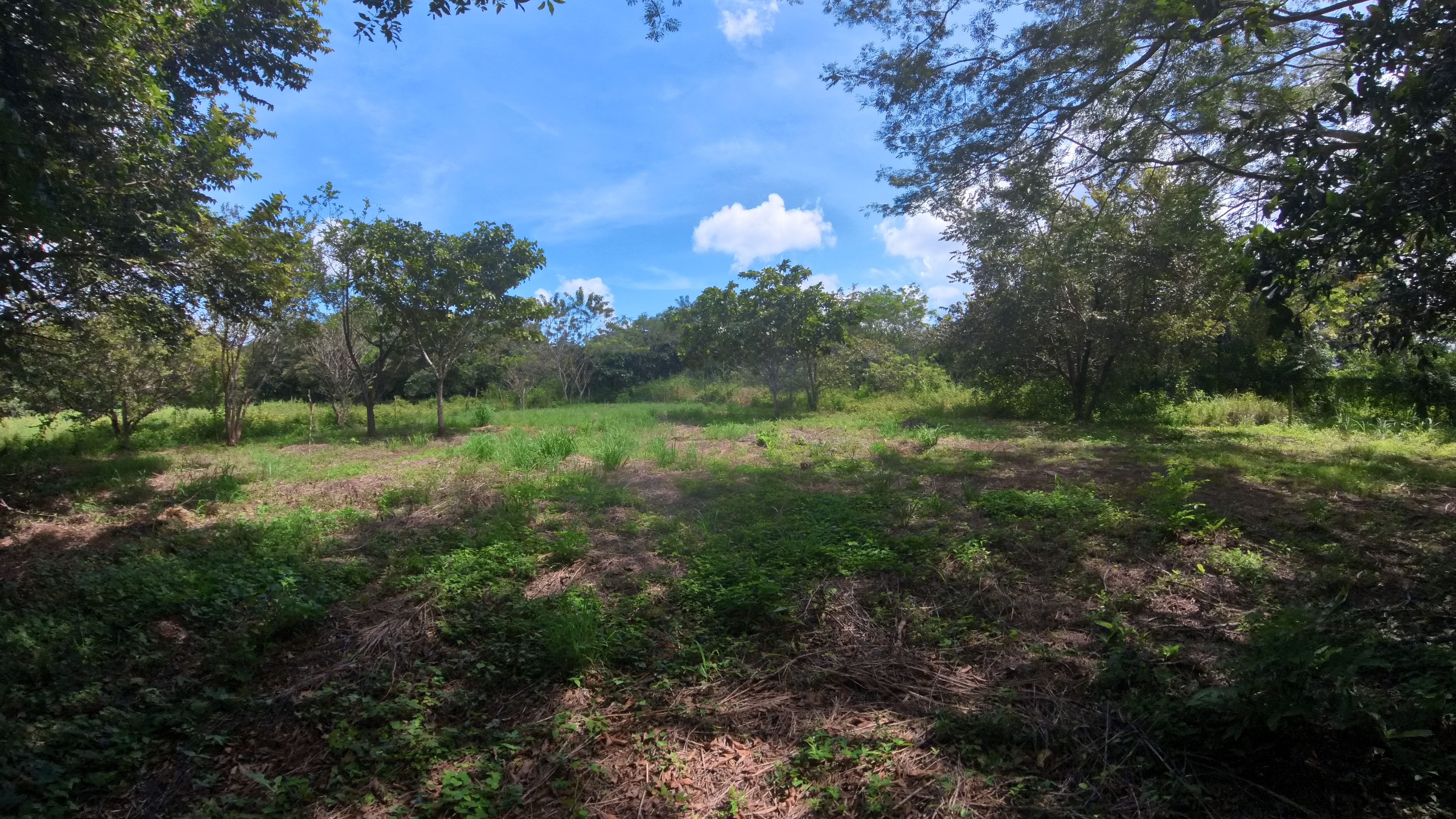 LOTE EN VENTA LA AMERICA - LIBERIA