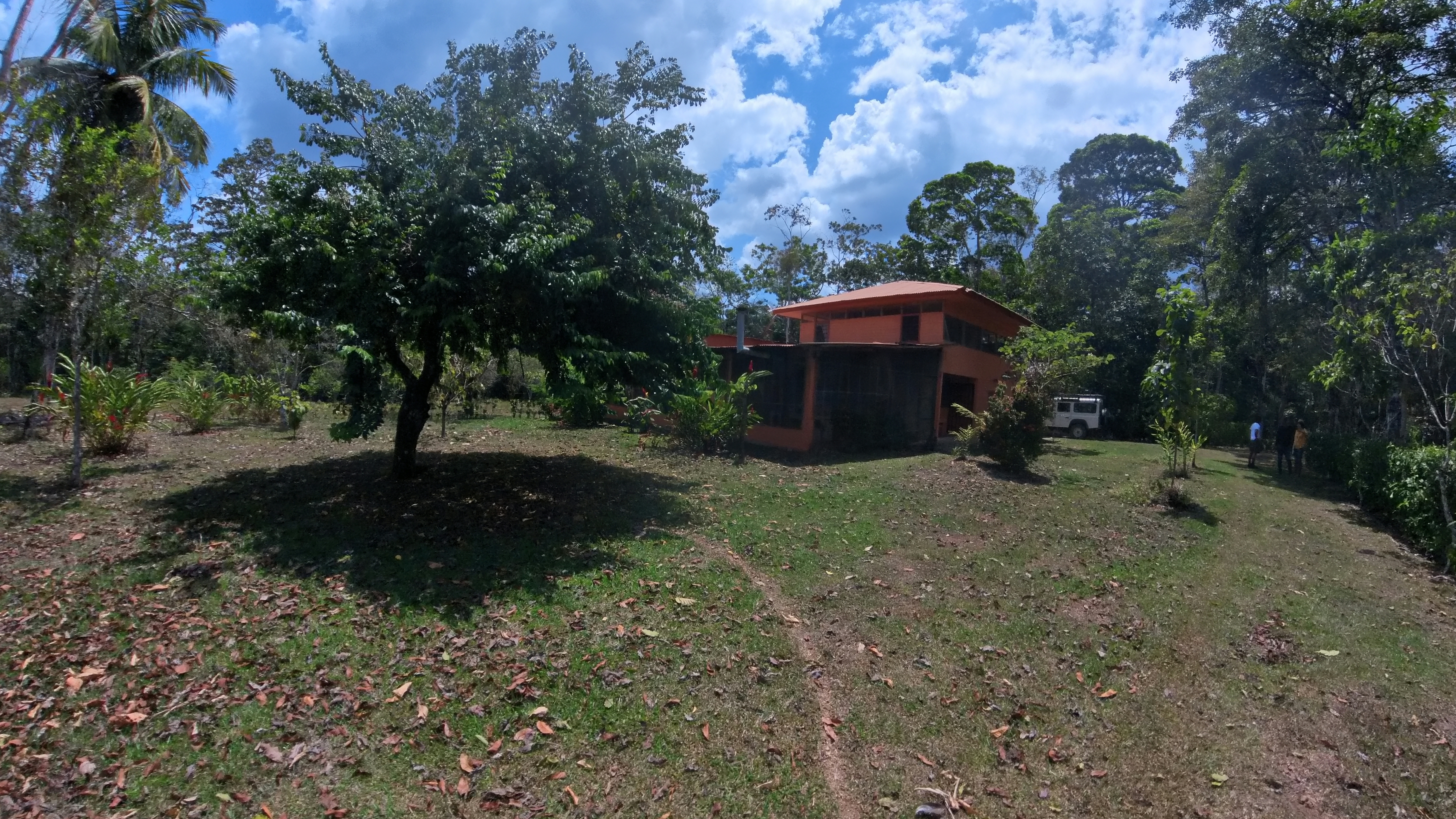Rosibel Farm, Birdwatching paradise, La Verbena, Upala, Costa Rica