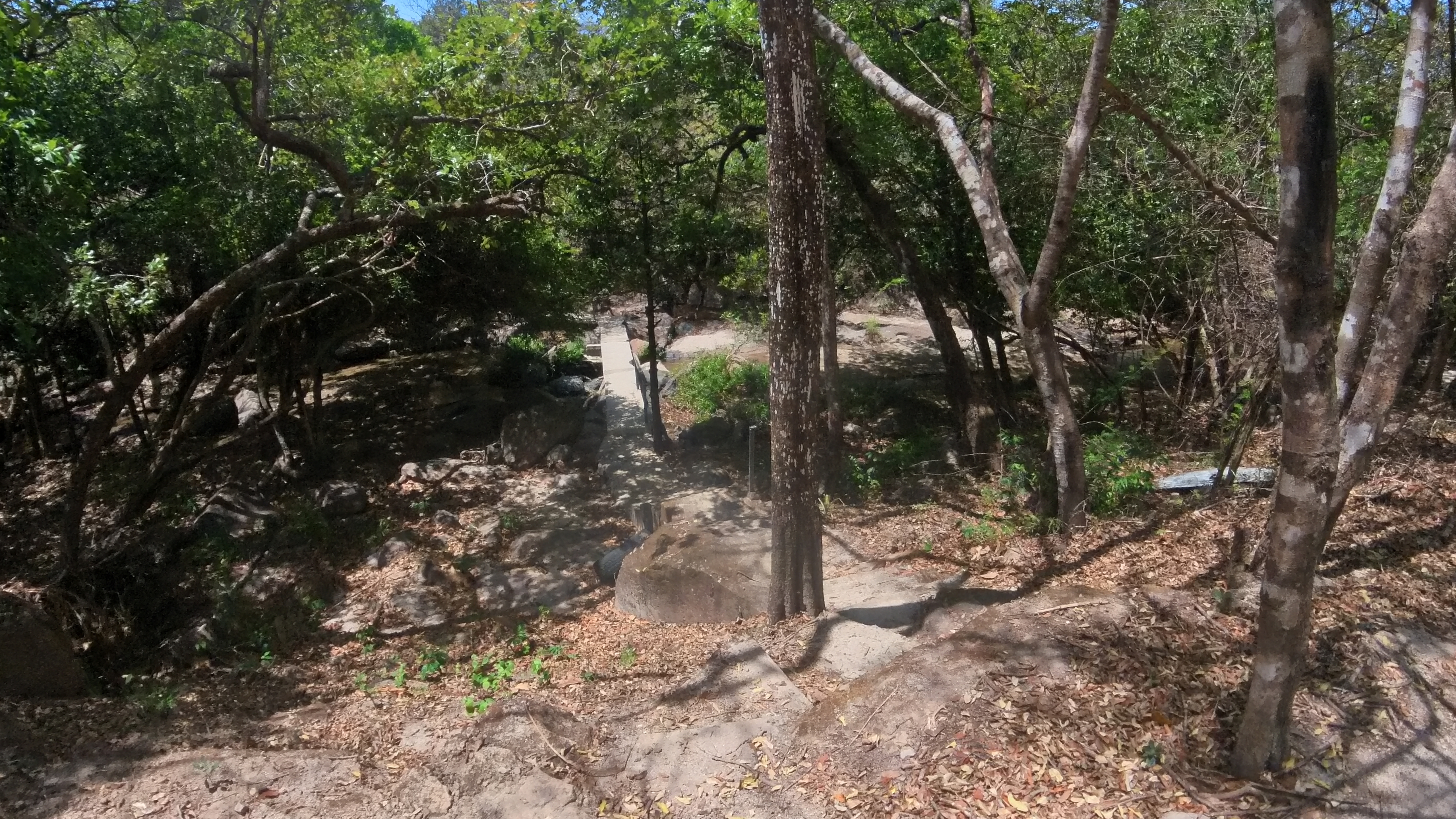 FINCA EN VENTA - EL ESCOBIO | LIBERIA