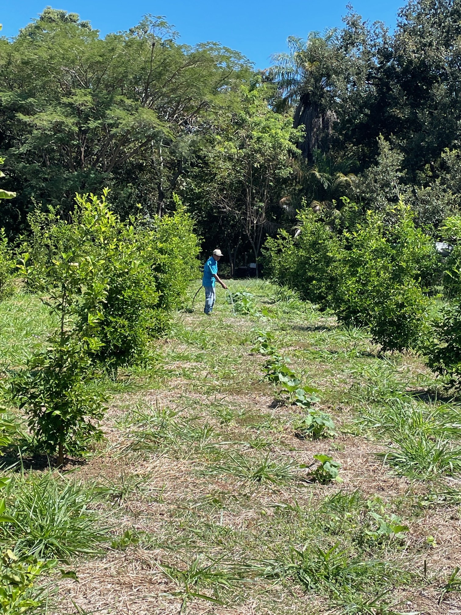 VENDO TERRENO - LIBERIA , Guanacaste, Costa Rica