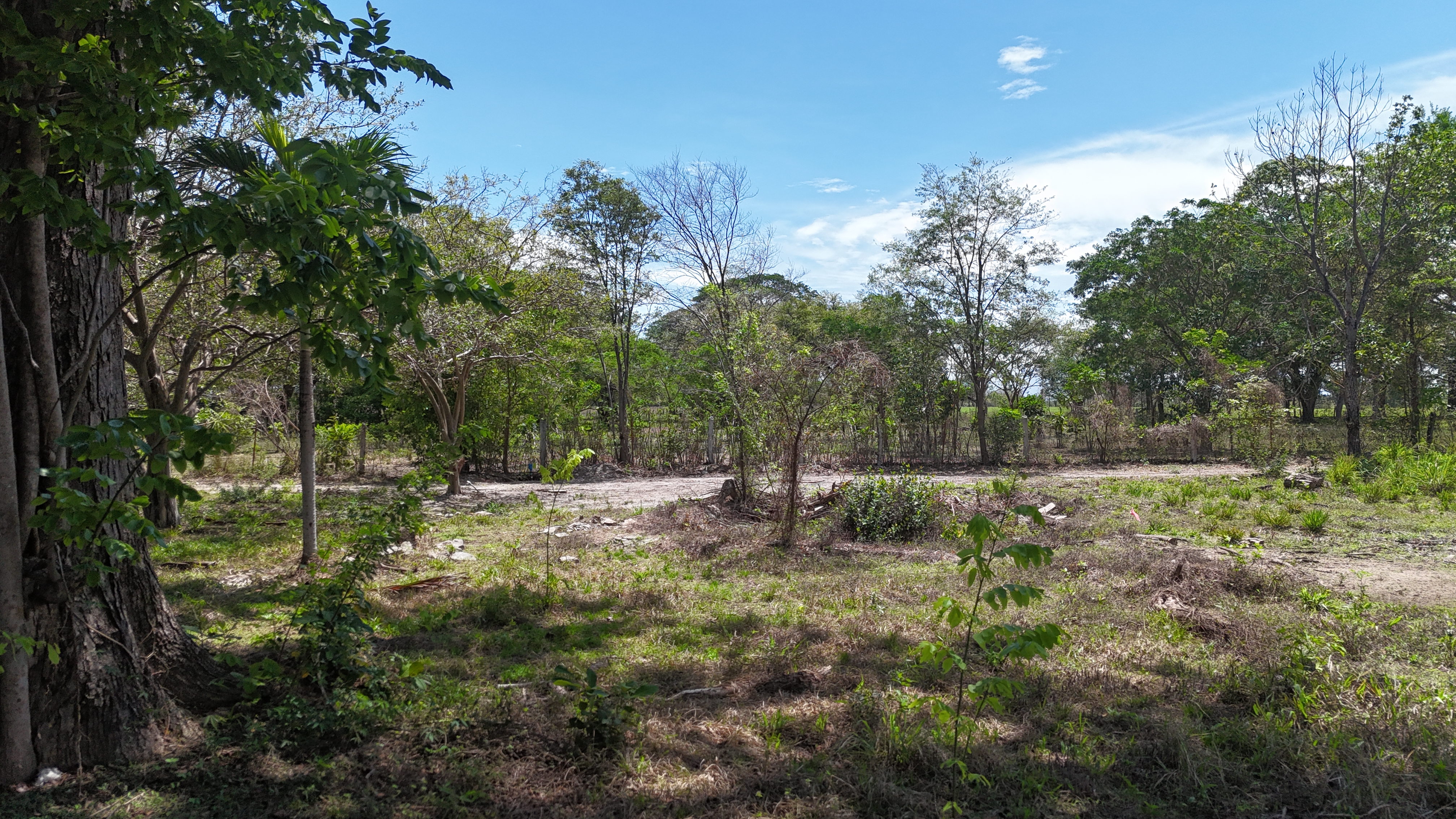 VENDO LOTE - LA CARAÑA | LIBERIA