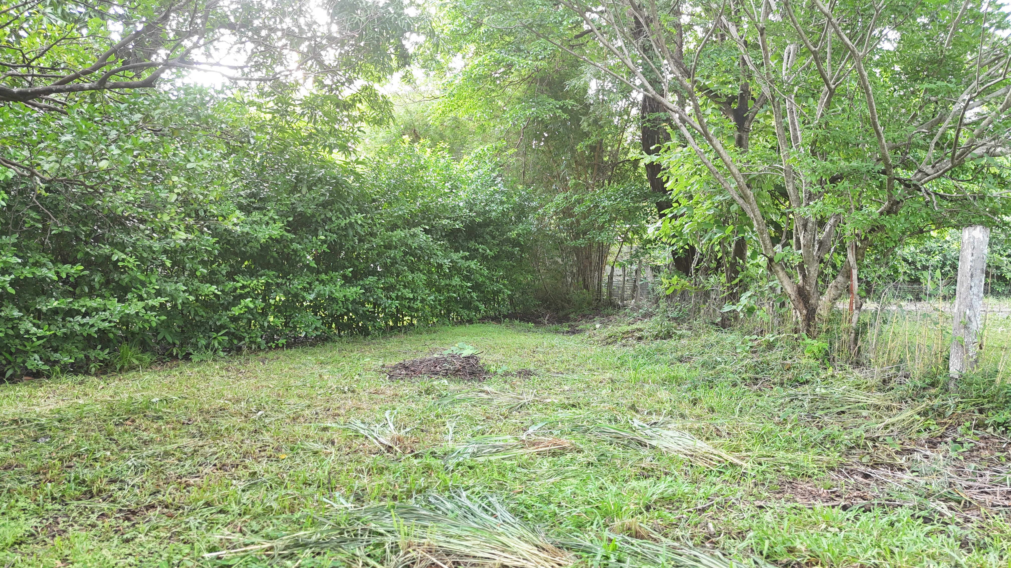 SE VENDE LOTE - LA CARAÑA  | LIBERIA