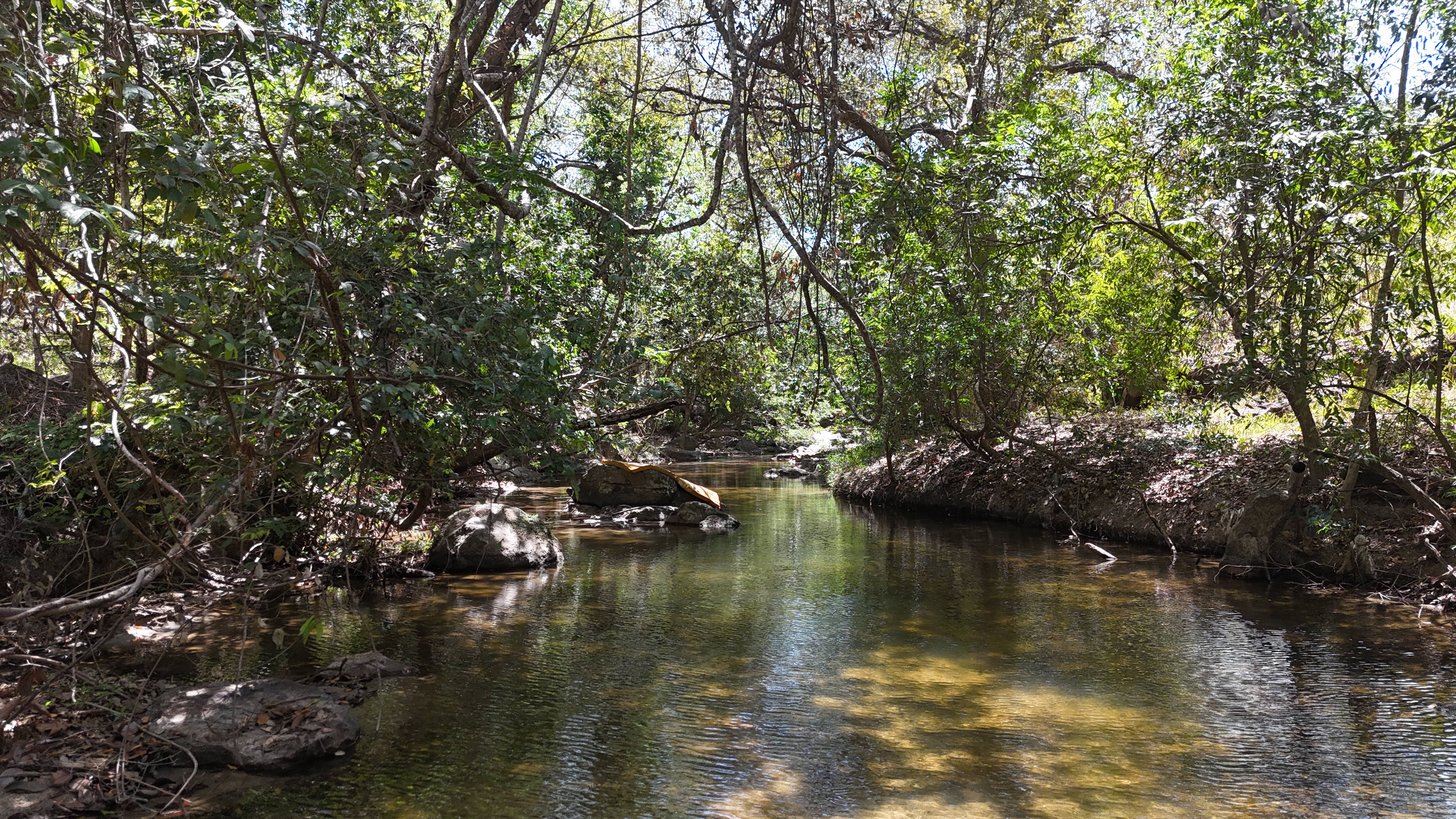 FINCA EN VENTA - EL ESCOBIO | LIBERIA