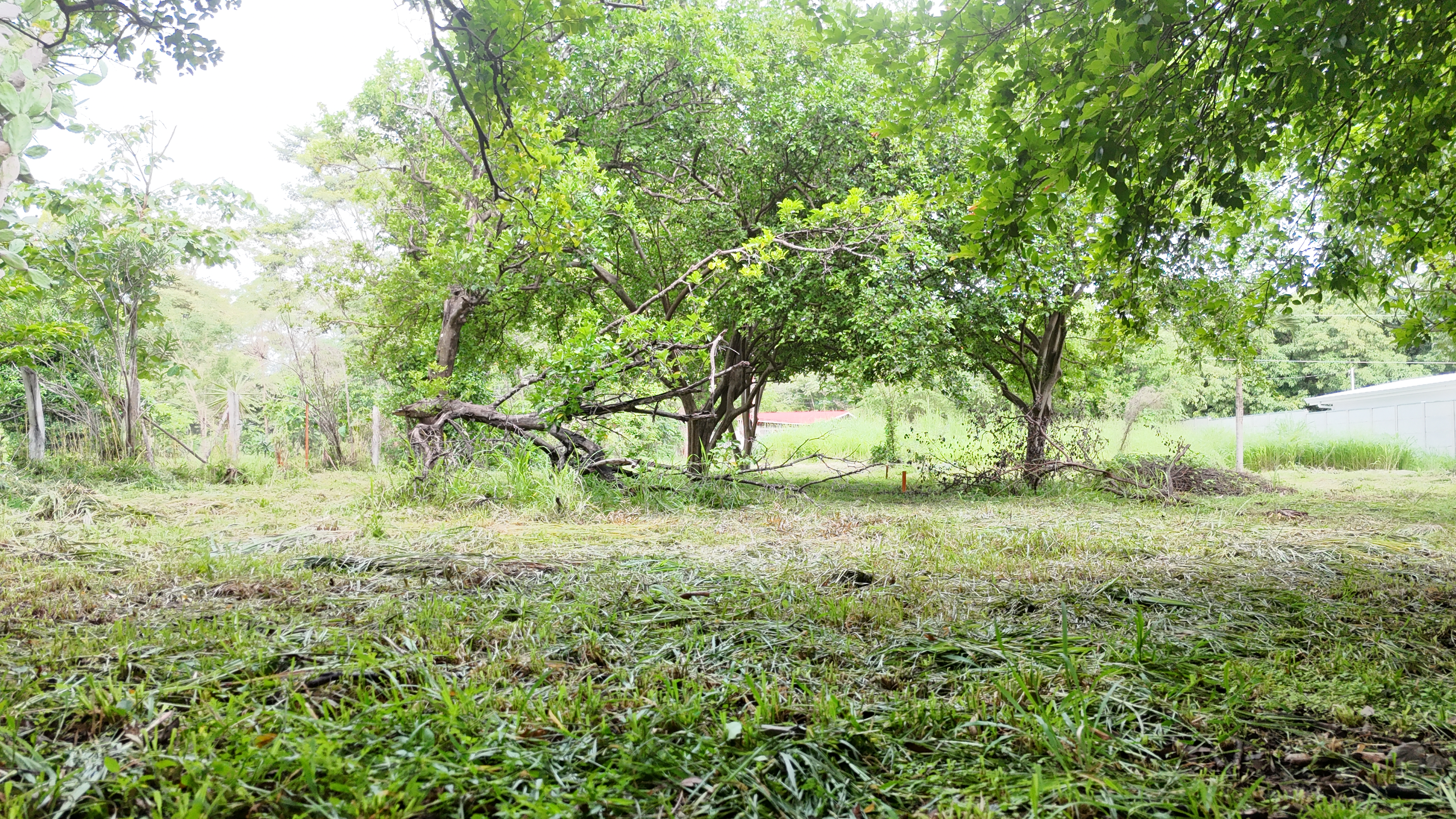 SE VENDE LOTE - LA CARAÑA  | LIBERIA