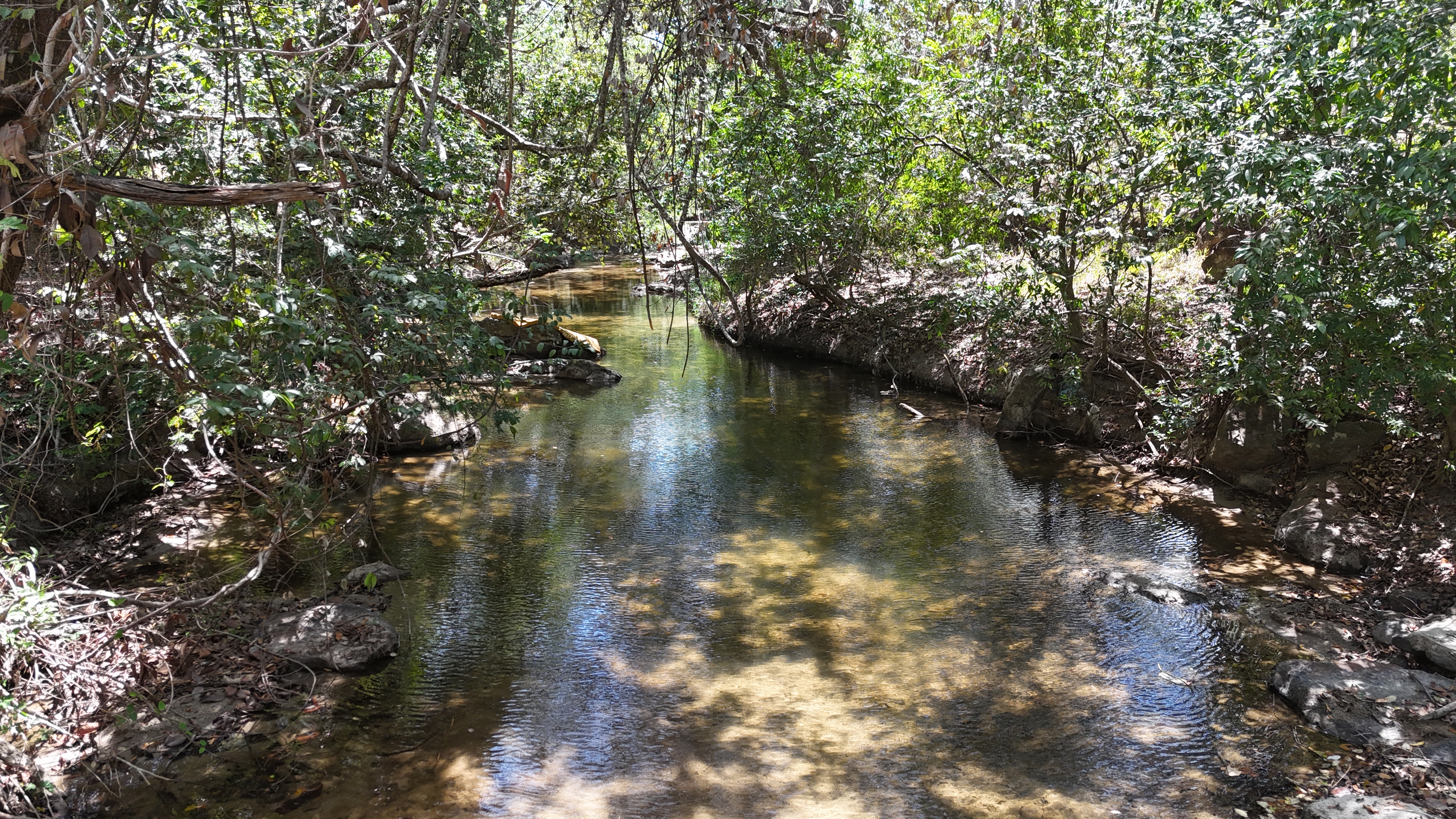 FINCA EN VENTA - EL ESCOBIO | LIBERIA