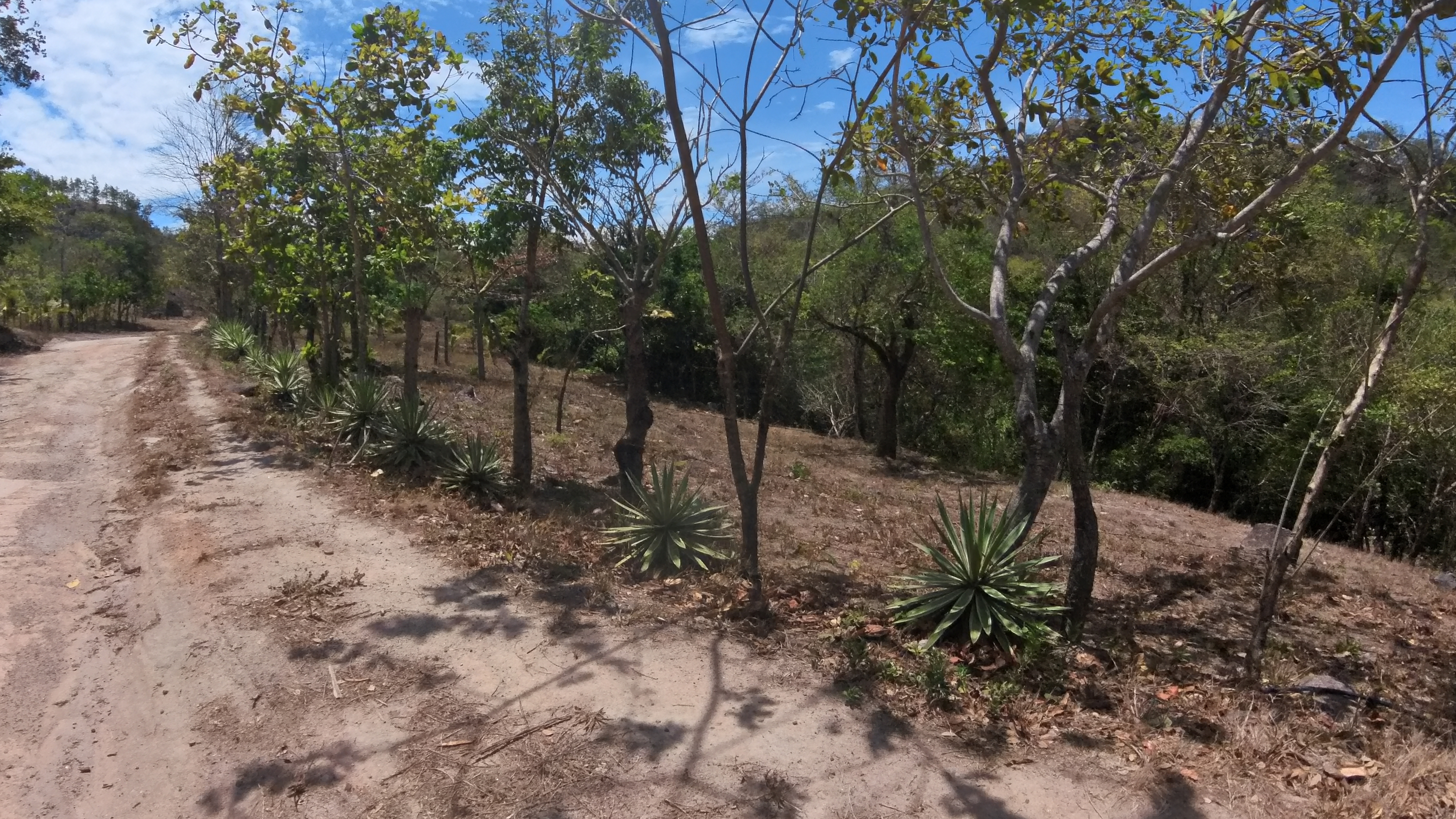 FINCA EN VENTA - EL ESCOBIO | LIBERIA