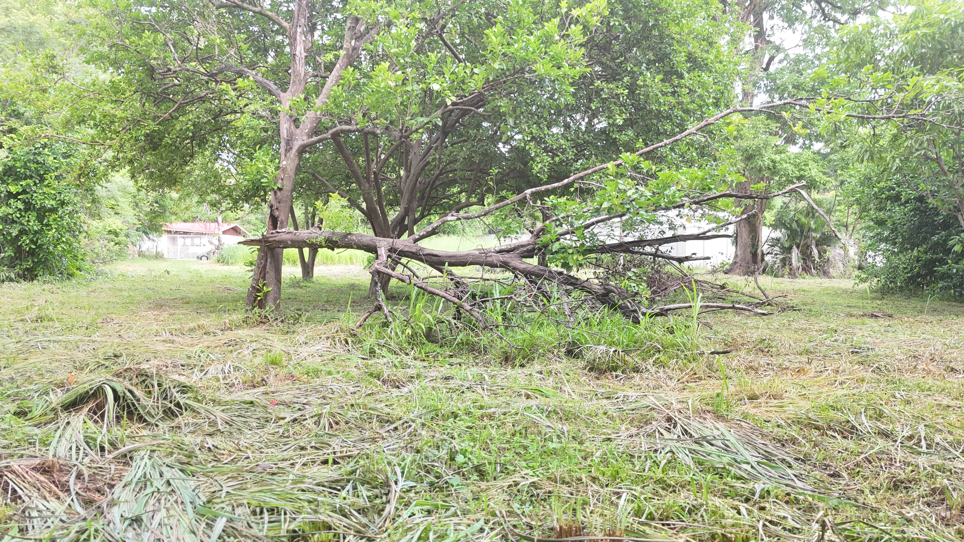 SE VENDE LOTE - LA CARAÑA  | LIBERIA