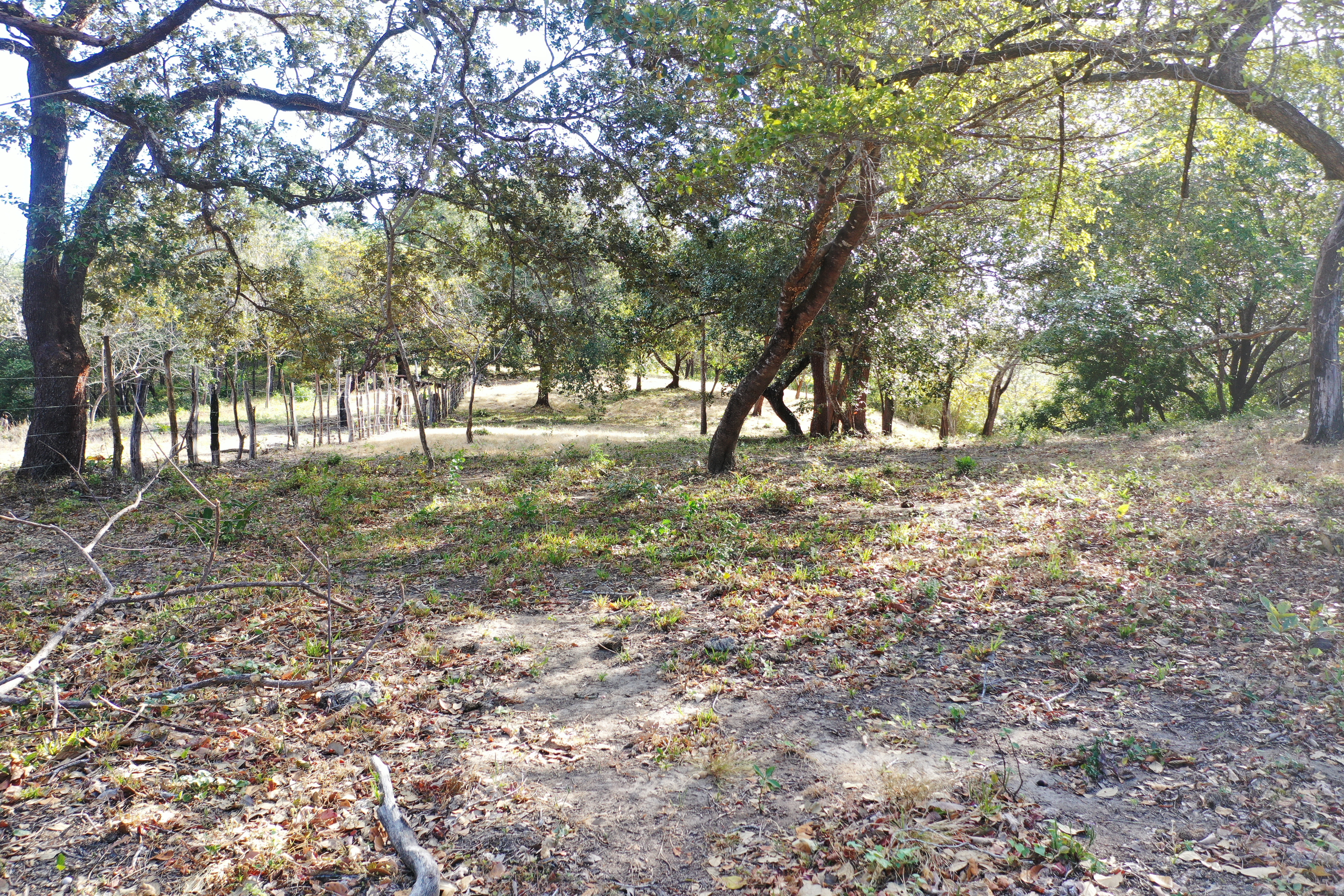 FARM FOR SALE - CURUBANDE | LIBERIA