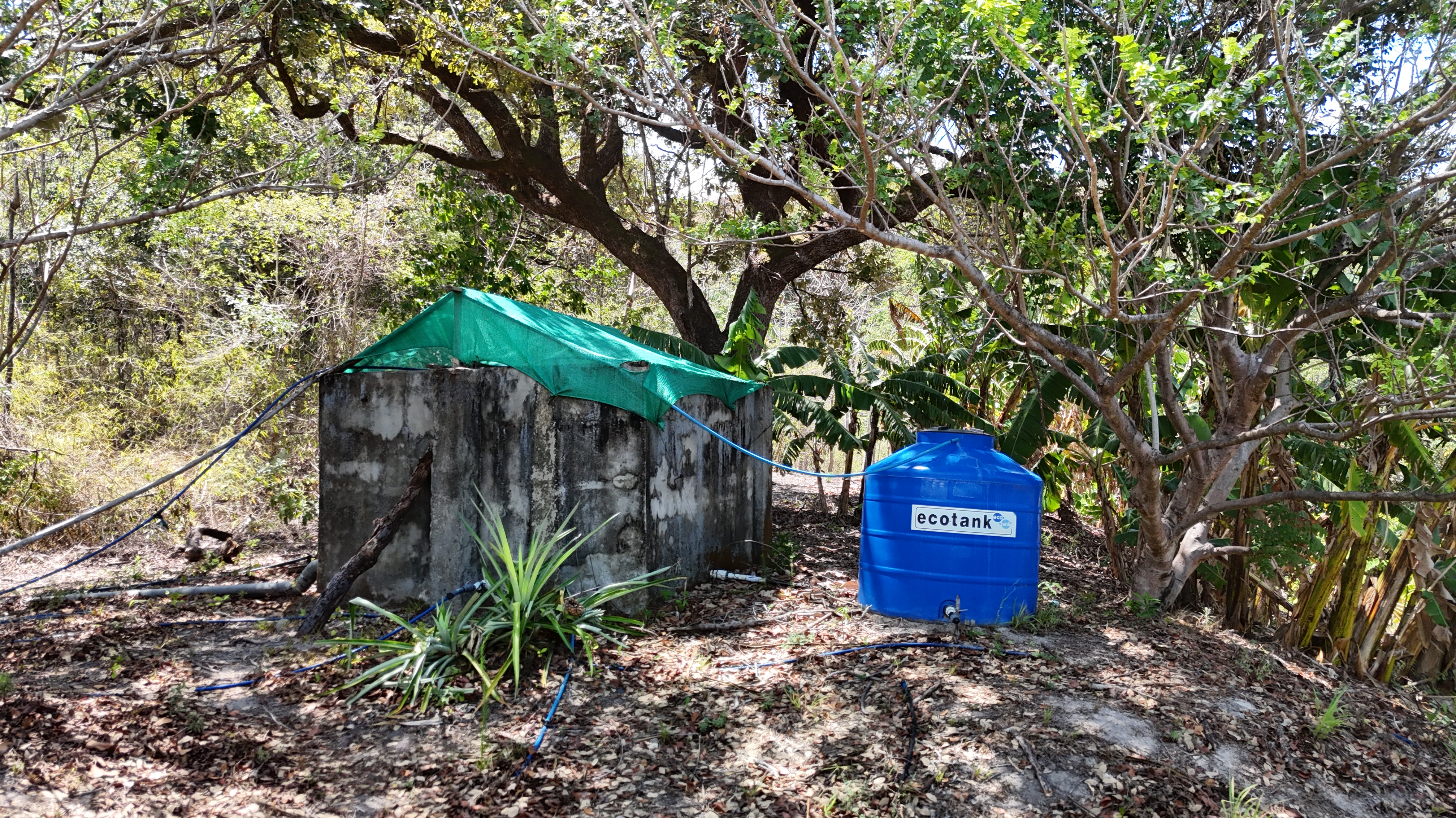 FINCA EN VENTA - EL ESCOBIO | LIBERIA