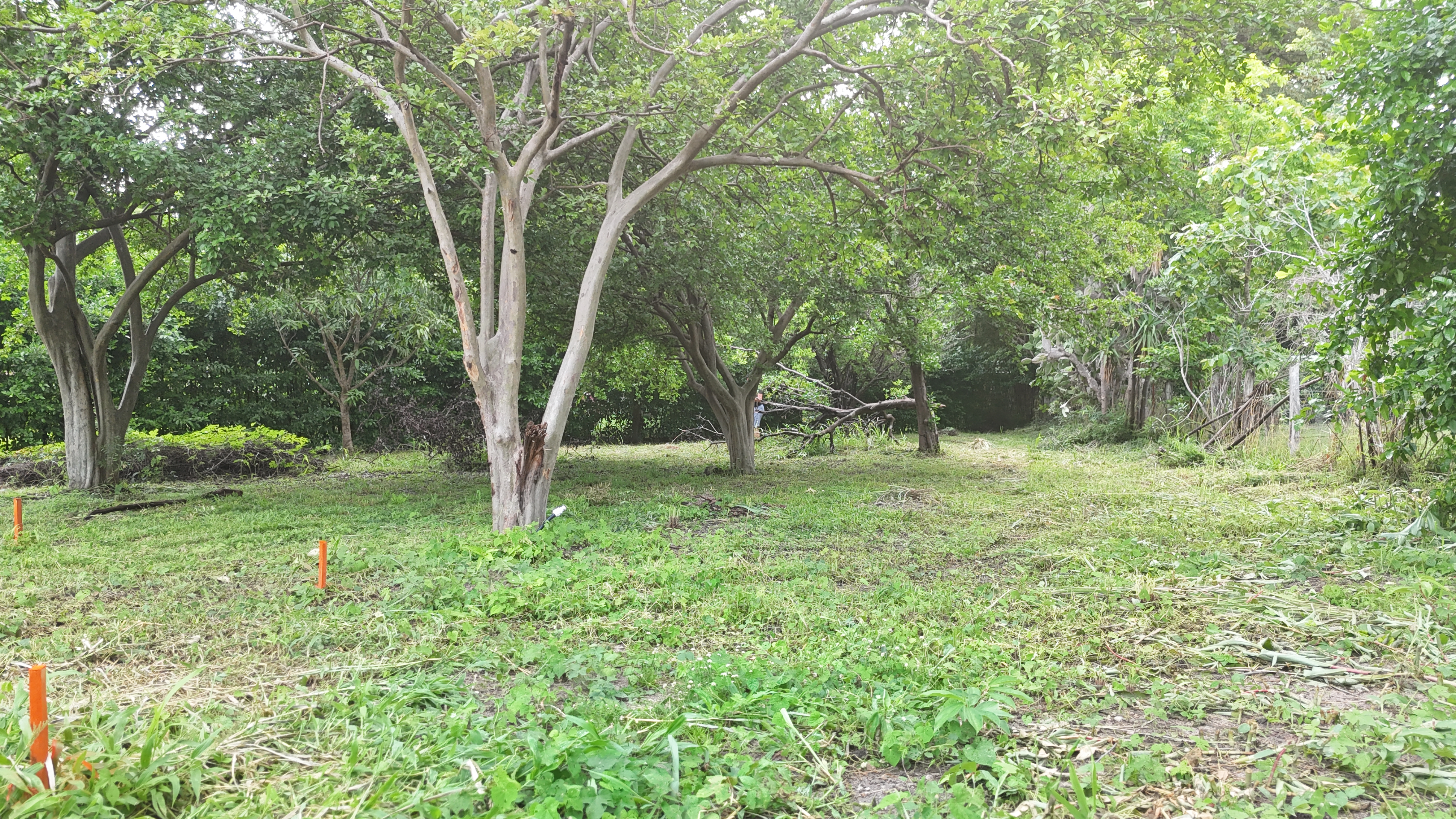 SE VENDE LOTE - LA CARAÑA  | LIBERIA