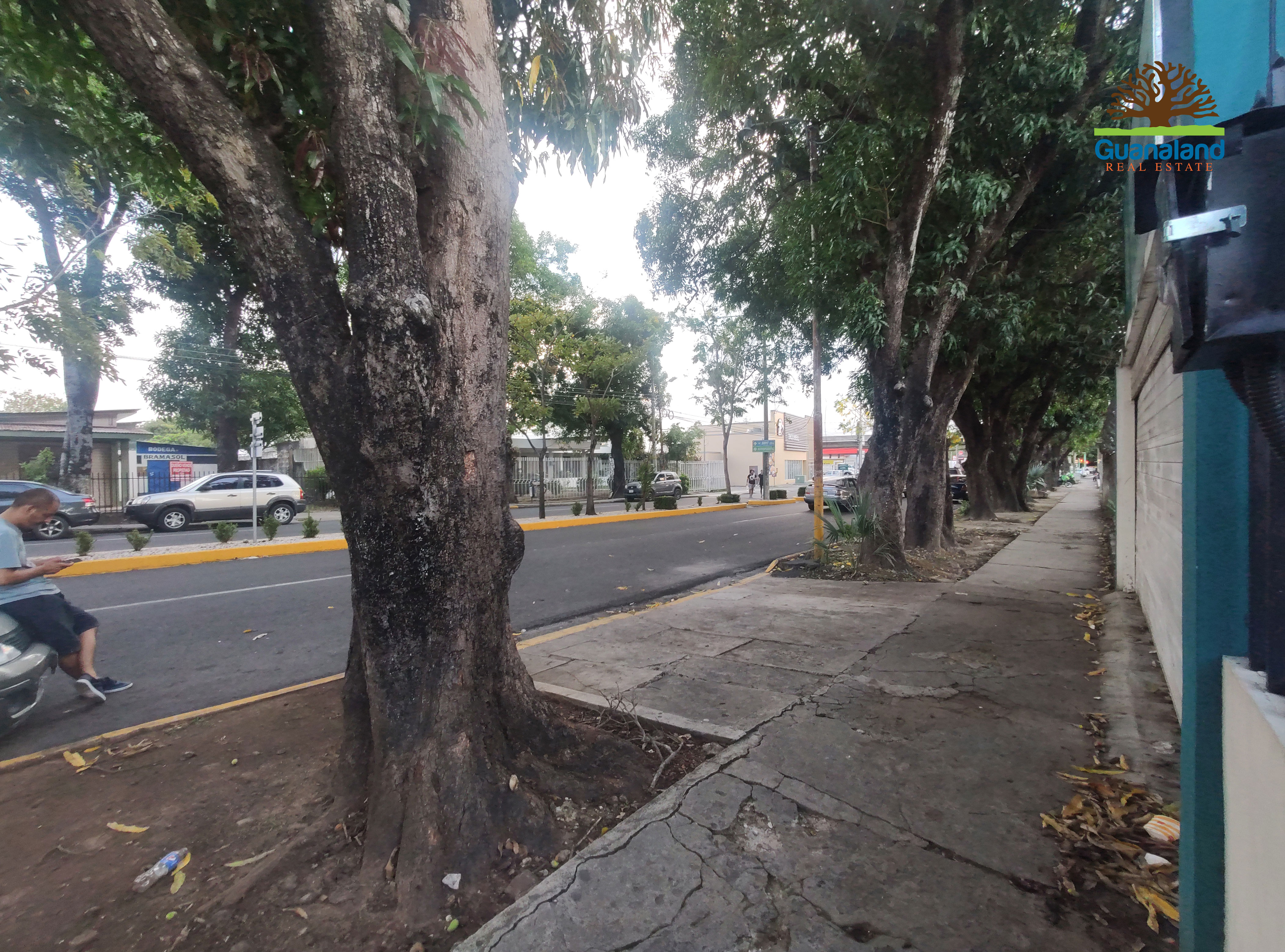 ALQUILER LOCAL COMERCIAL - AVE. 25 JULIO | LIBERIA