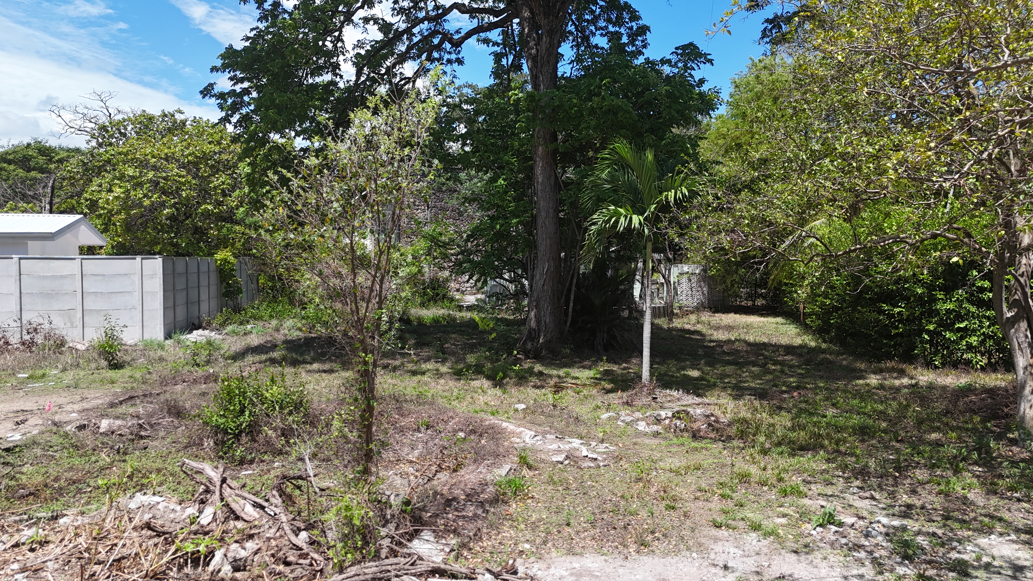 VENDO LOTE - LA CARAÑA | LIBERIA