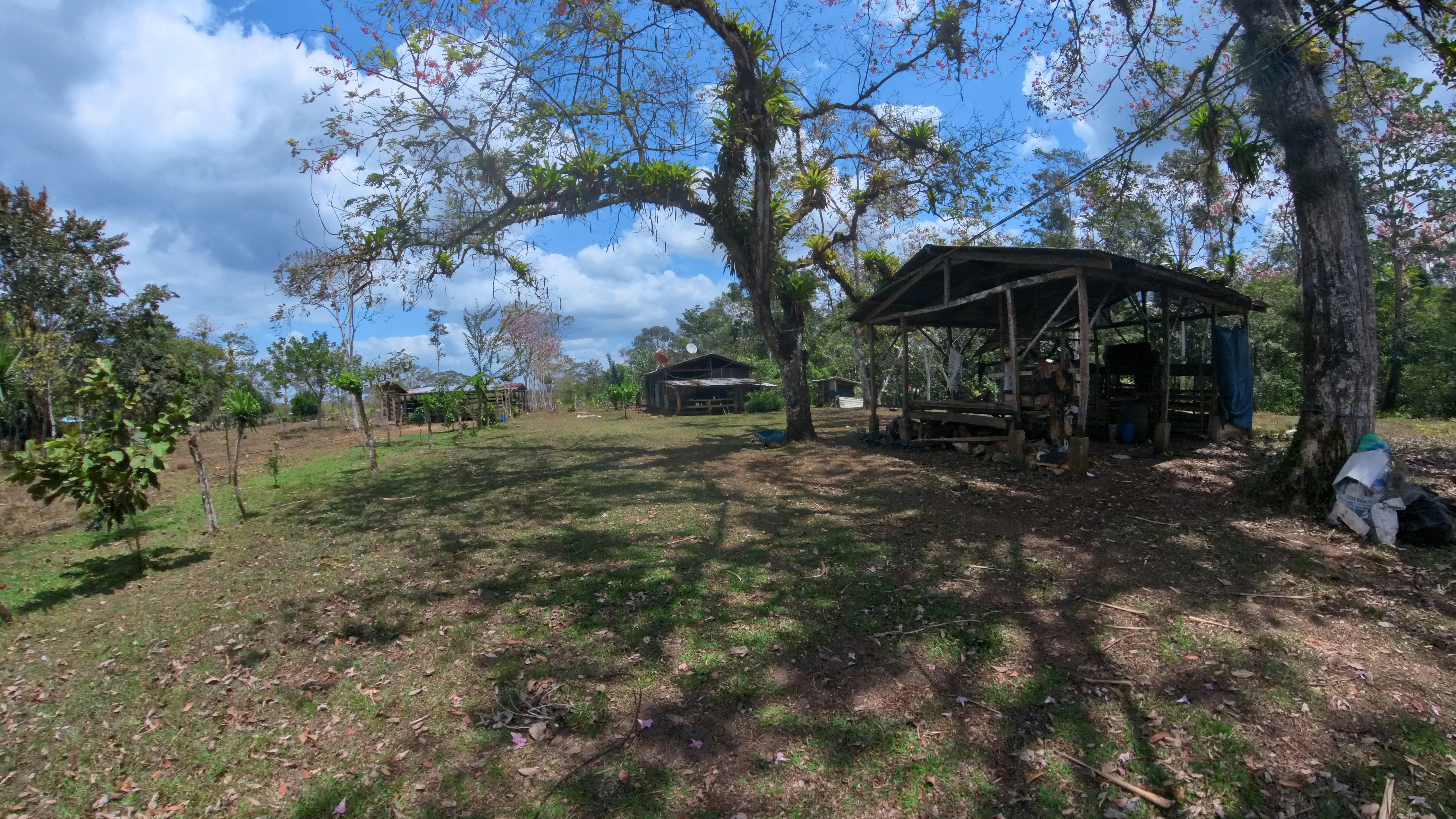 Rosibel Farm, Birdwatching paradise, La Verbena, Upala, Costa Rica