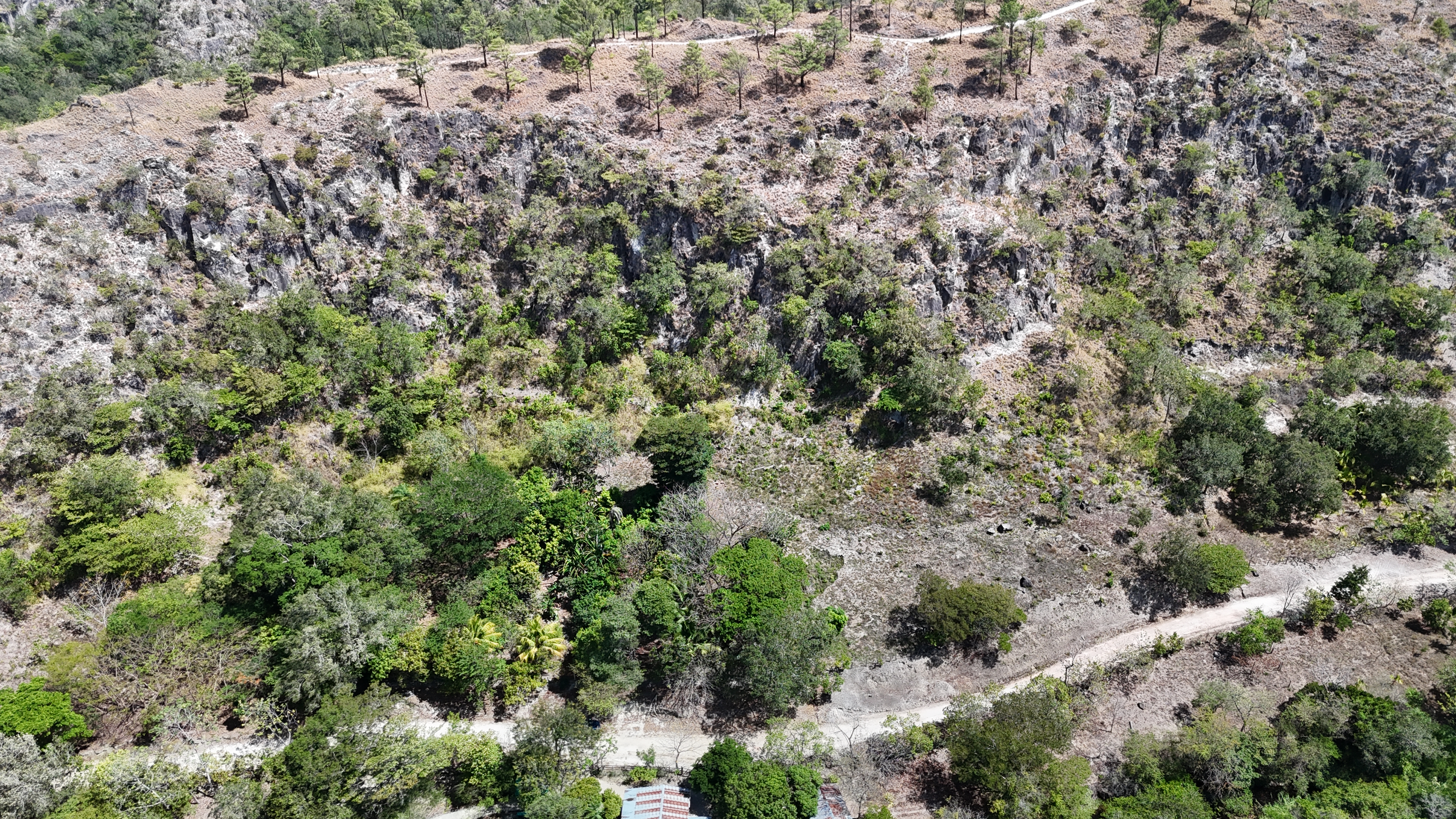 FINCA EN VENTA - EL ESCOBIO | LIBERIA