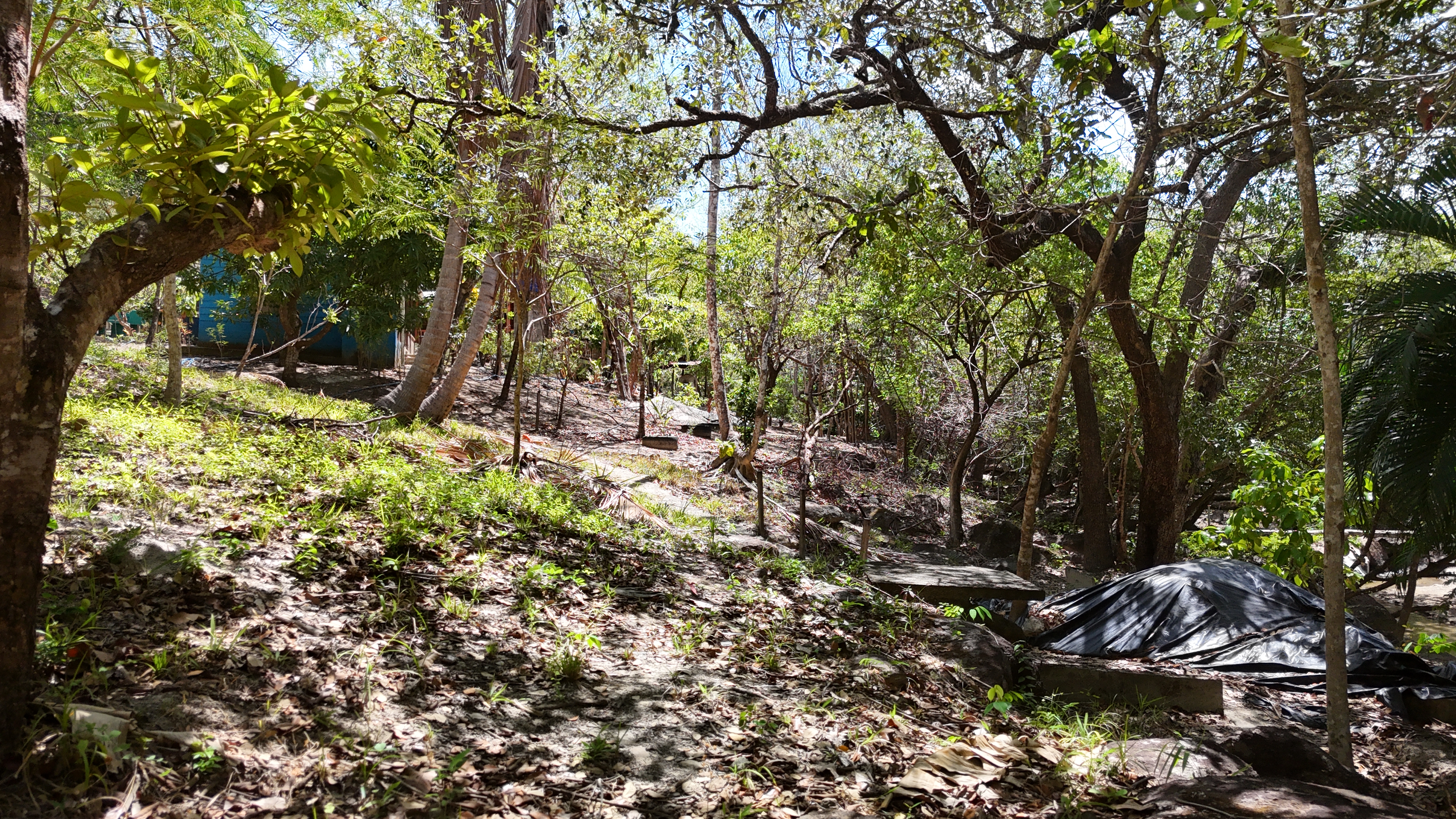 FINCA EN VENTA - EL ESCOBIO | LIBERIA