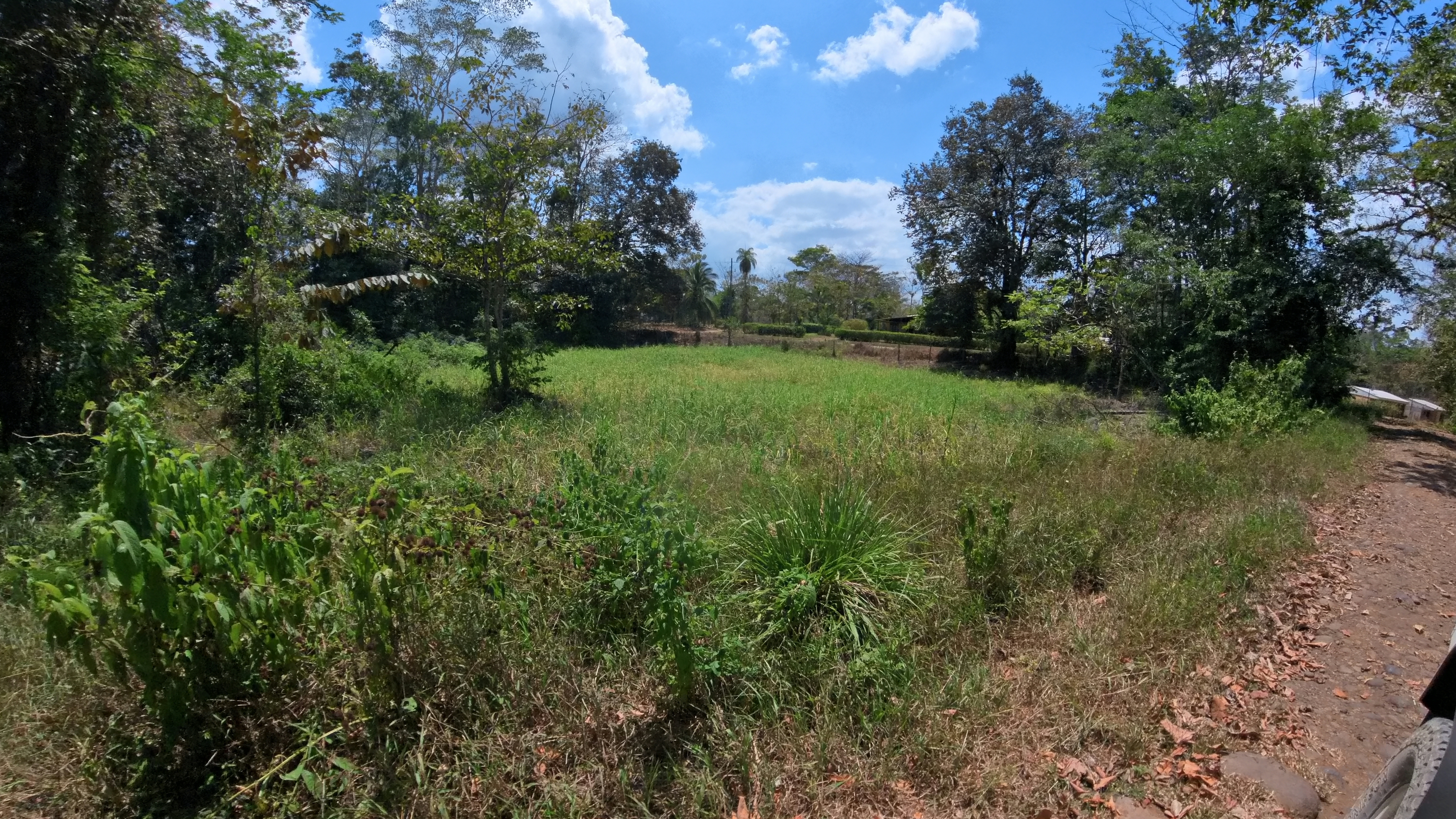 Rosibel Farm, Birdwatching paradise, La Verbena, Upala, Costa Rica