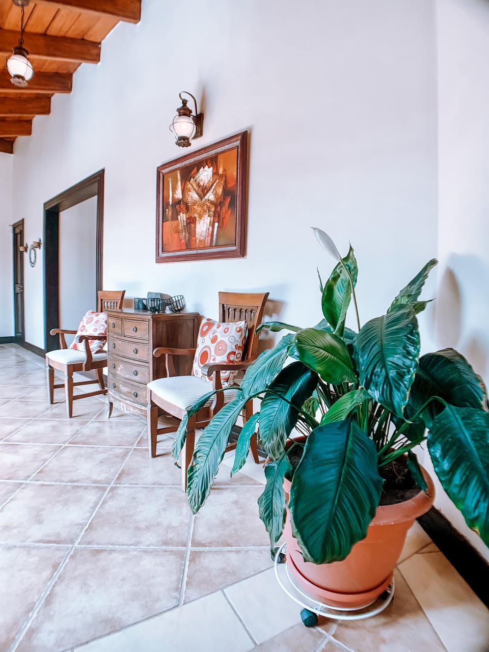 CASA EN ALQUILER - CAÑON DE LA VIEJA  CURUBANDE | LIBERIA