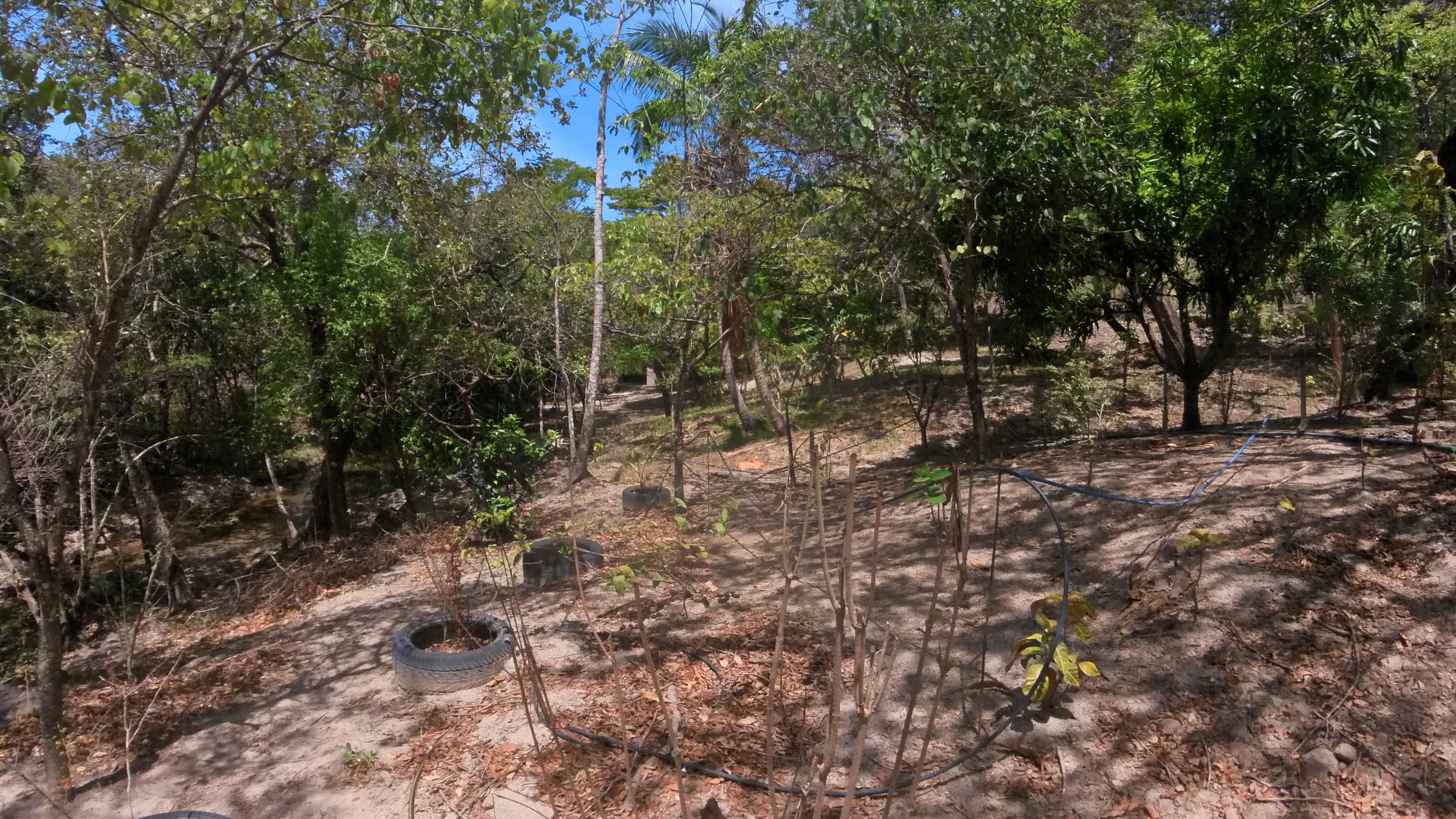 FINCA EN VENTA - EL ESCOBIO | LIBERIA