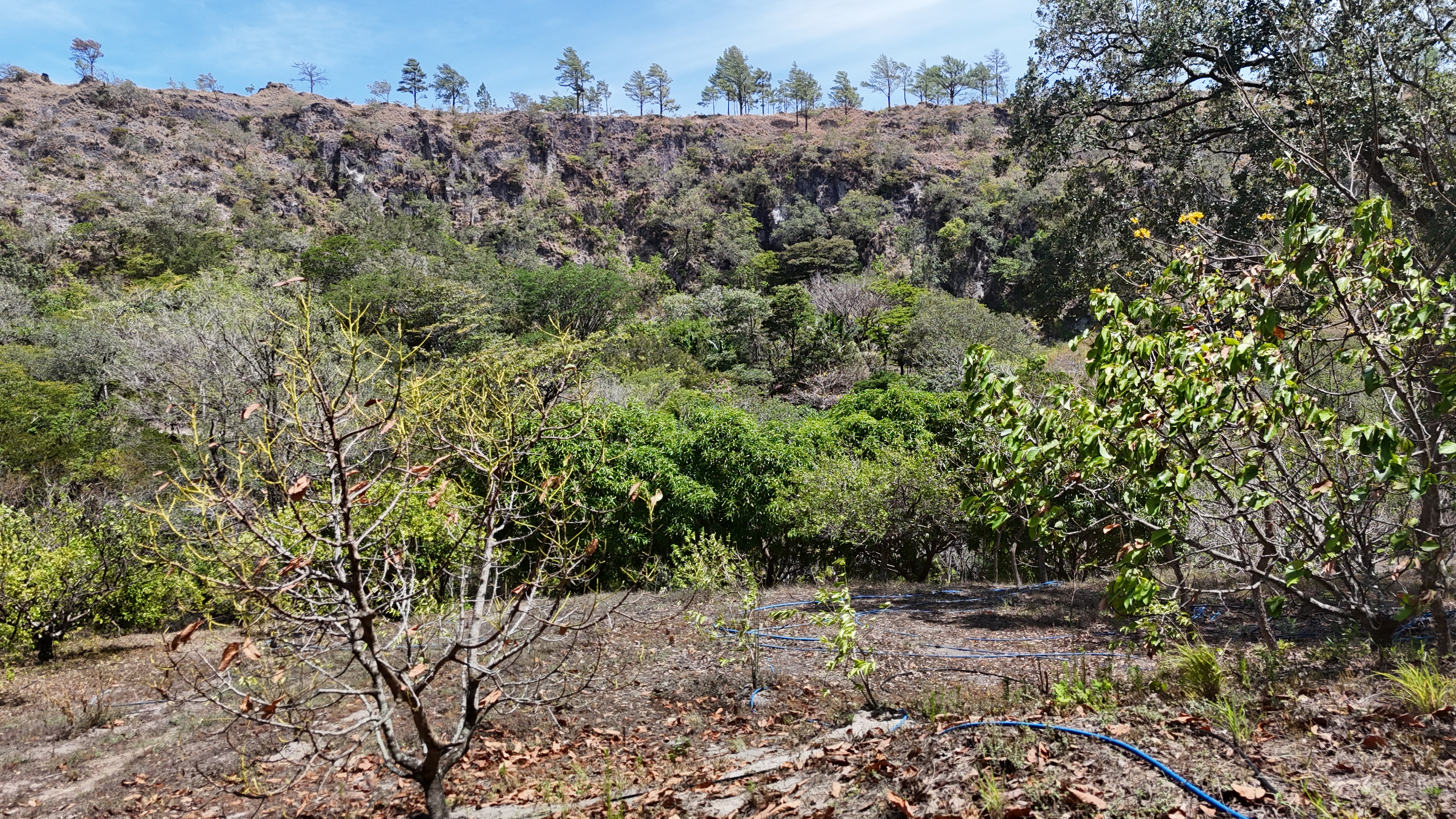 FINCA EN VENTA - EL ESCOBIO | LIBERIA