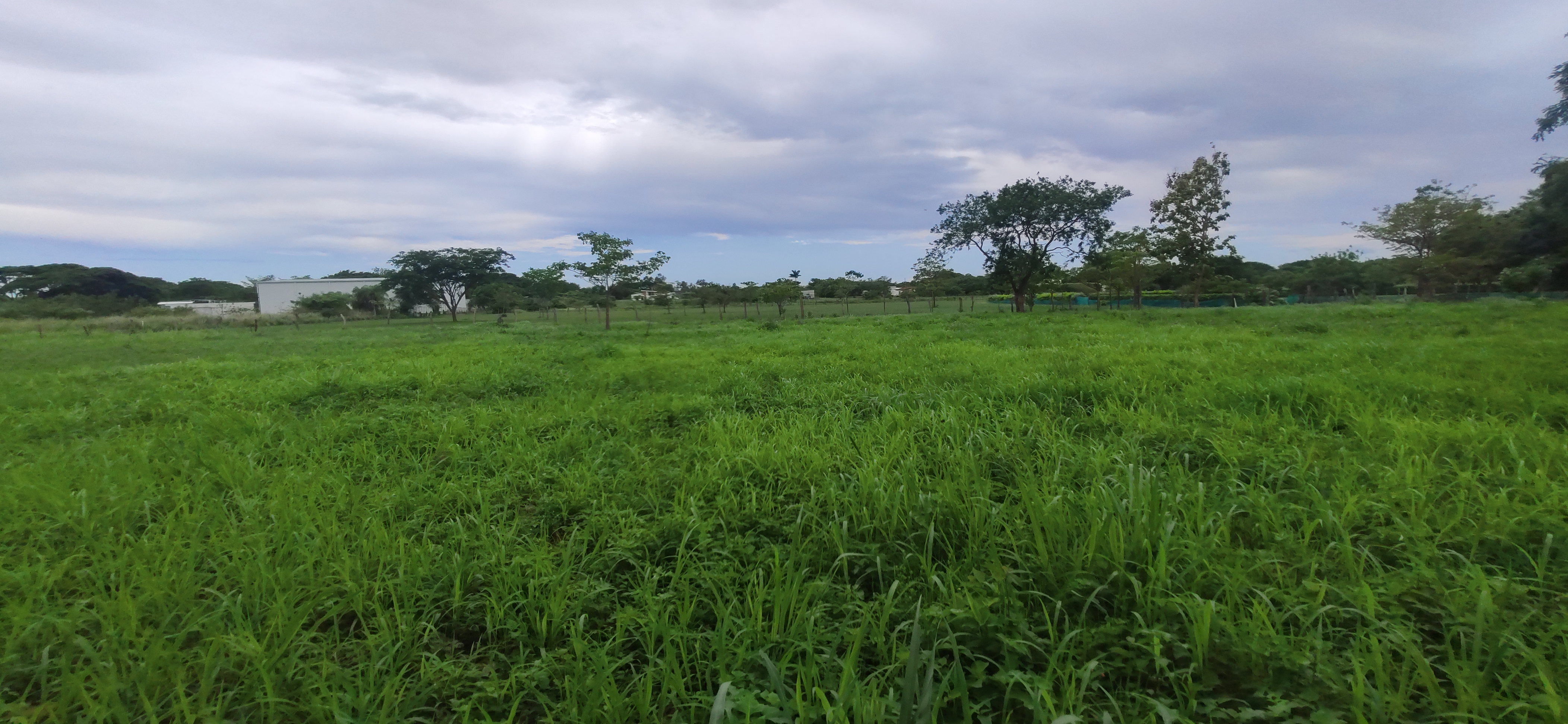LOTE COMERCIAL EN VENTA SANTA ANA - LIBERIA