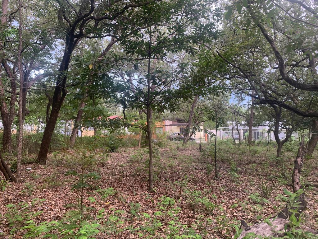 Se Vende Lote de 1986 m2, Guadalupe, Liberia, Guanacaste