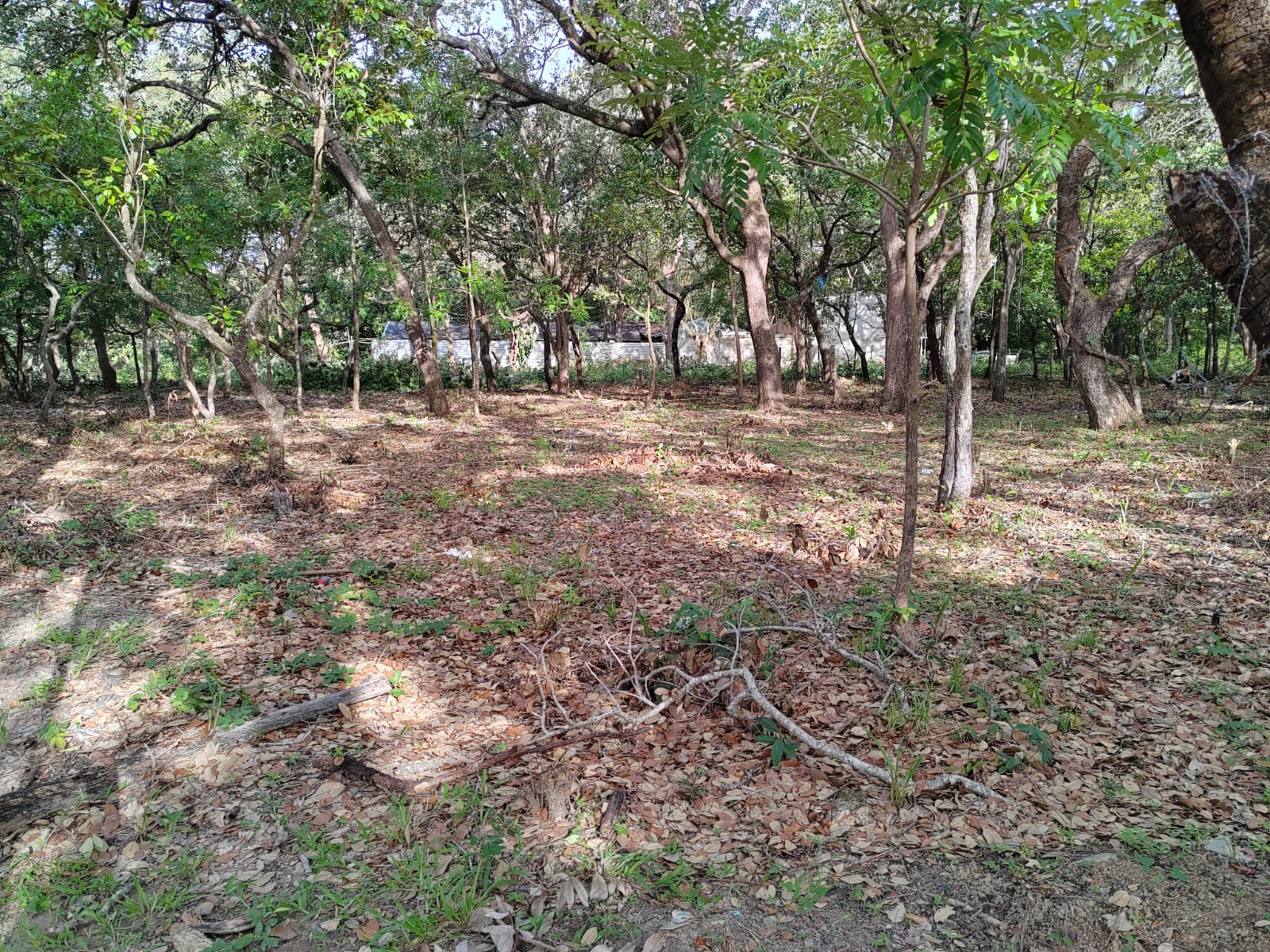 Lote en venta,1685 m2, Guadalupe, Liberia, Guanacaste