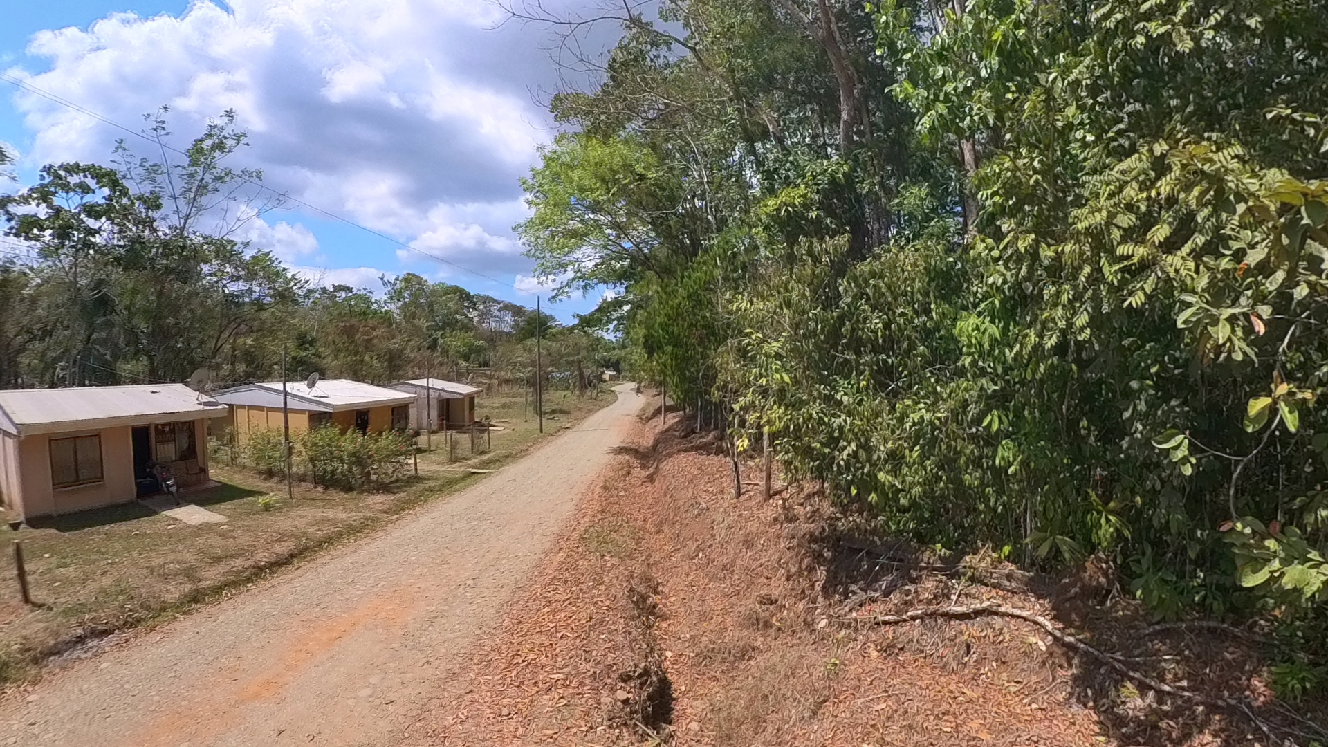 Rosibel Farm, Birdwatching paradise, La Verbena, Upala, Costa Rica