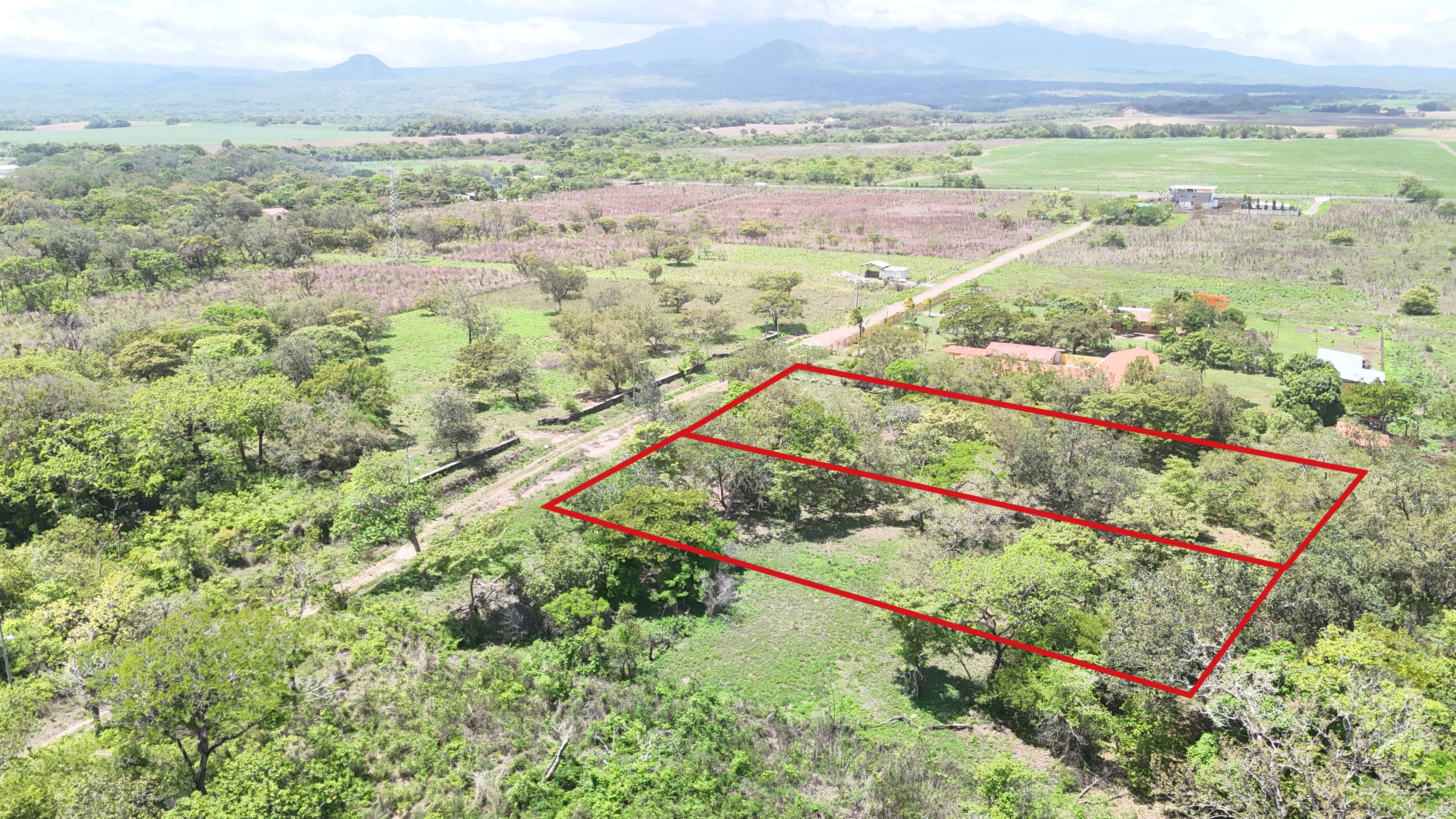 VENDO TERRENOS 5,000 m² - CAÑAS DULCES | LIBERIA