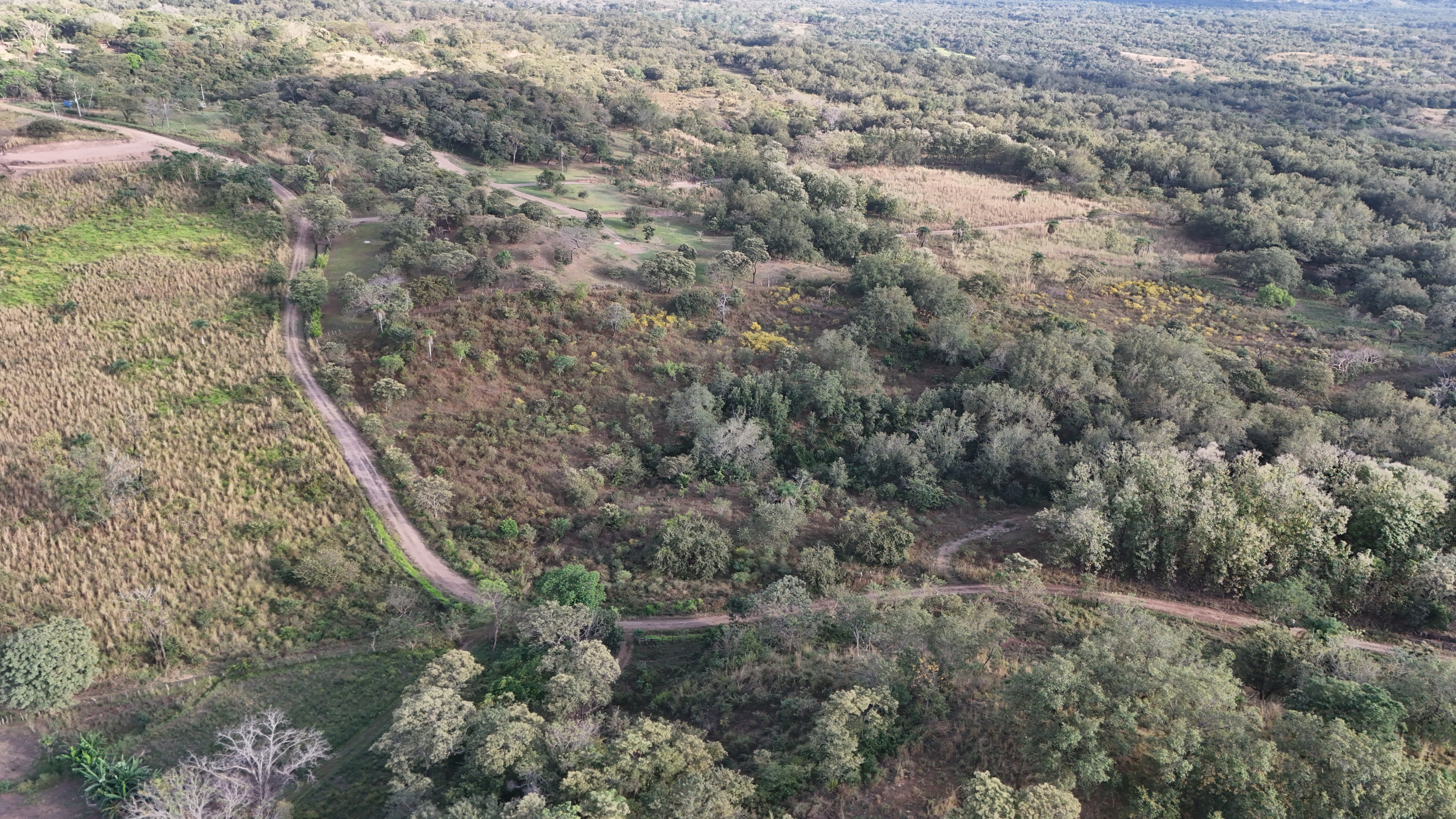 VENDO TERRENOS DE 5000m² - CAÑAS DULCES | LIBERIA