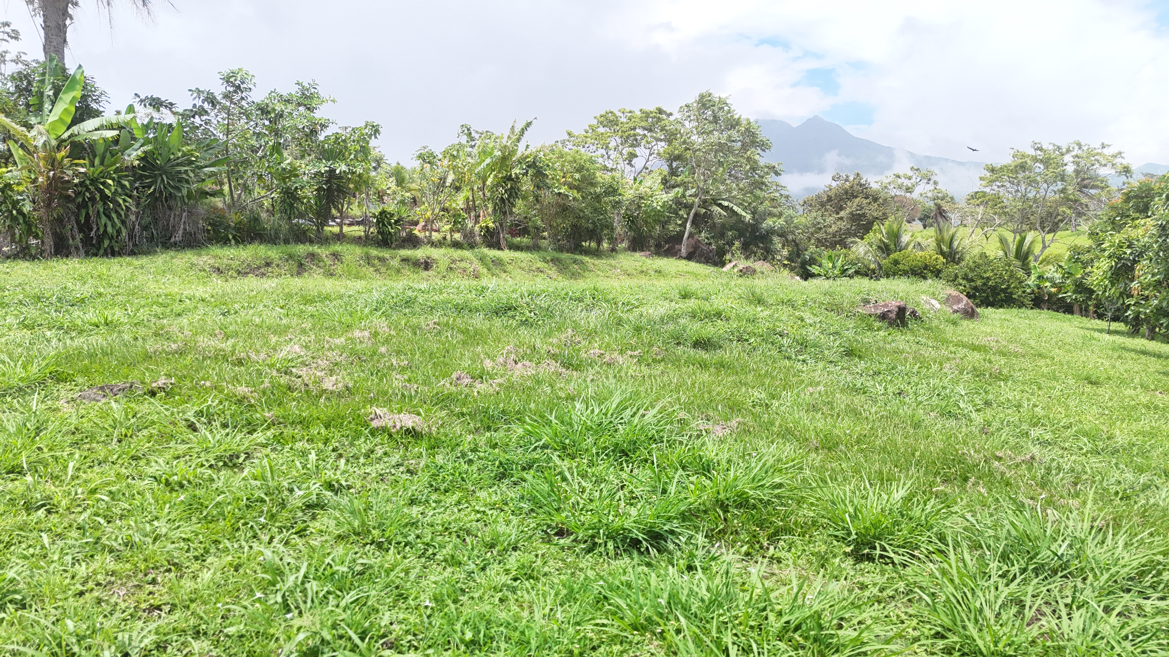 LOTE EN VENTA - FORTUNA | BAGACES