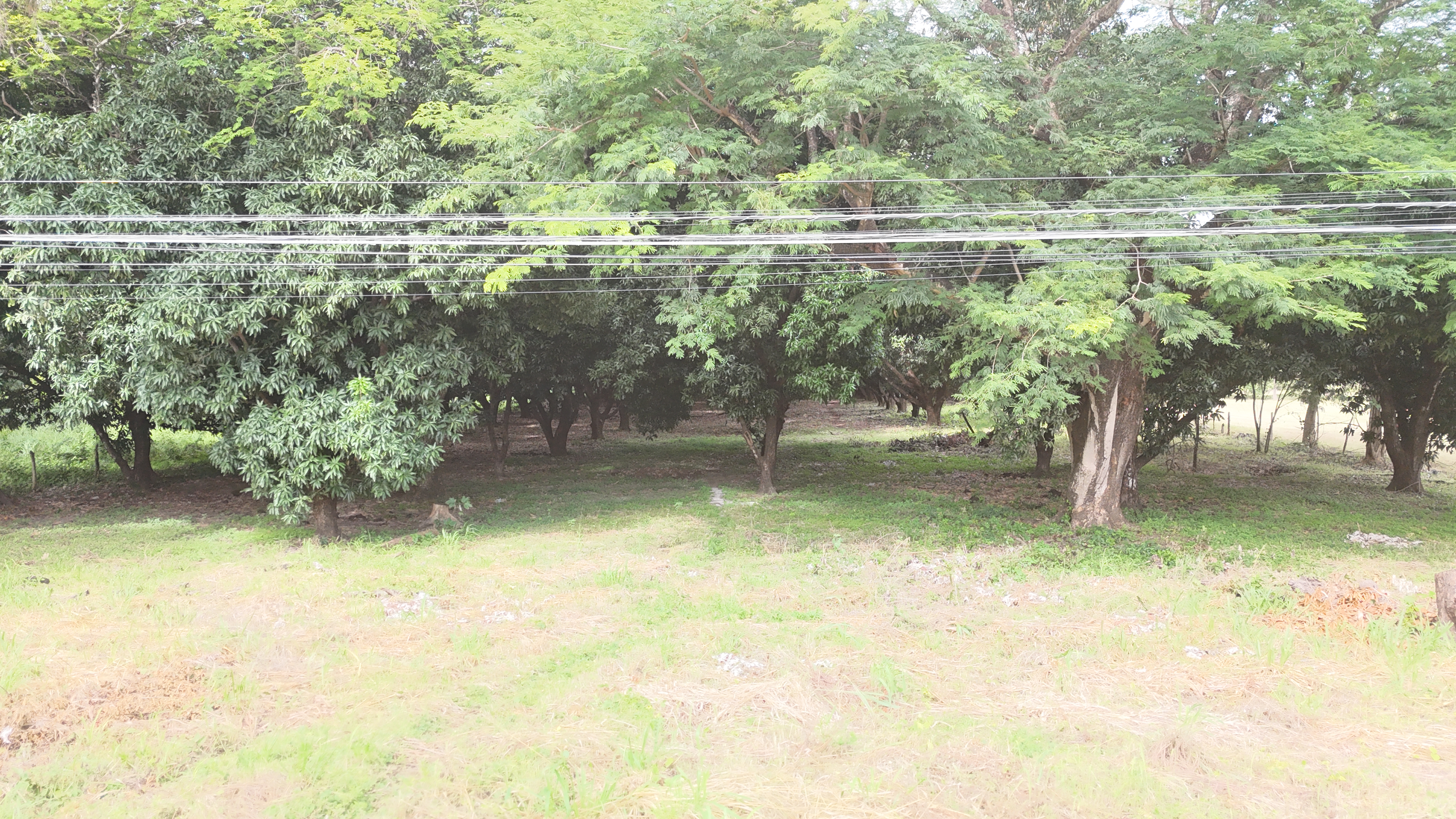 LOTE COMERCIAL RUTA 1 - LIBERIA