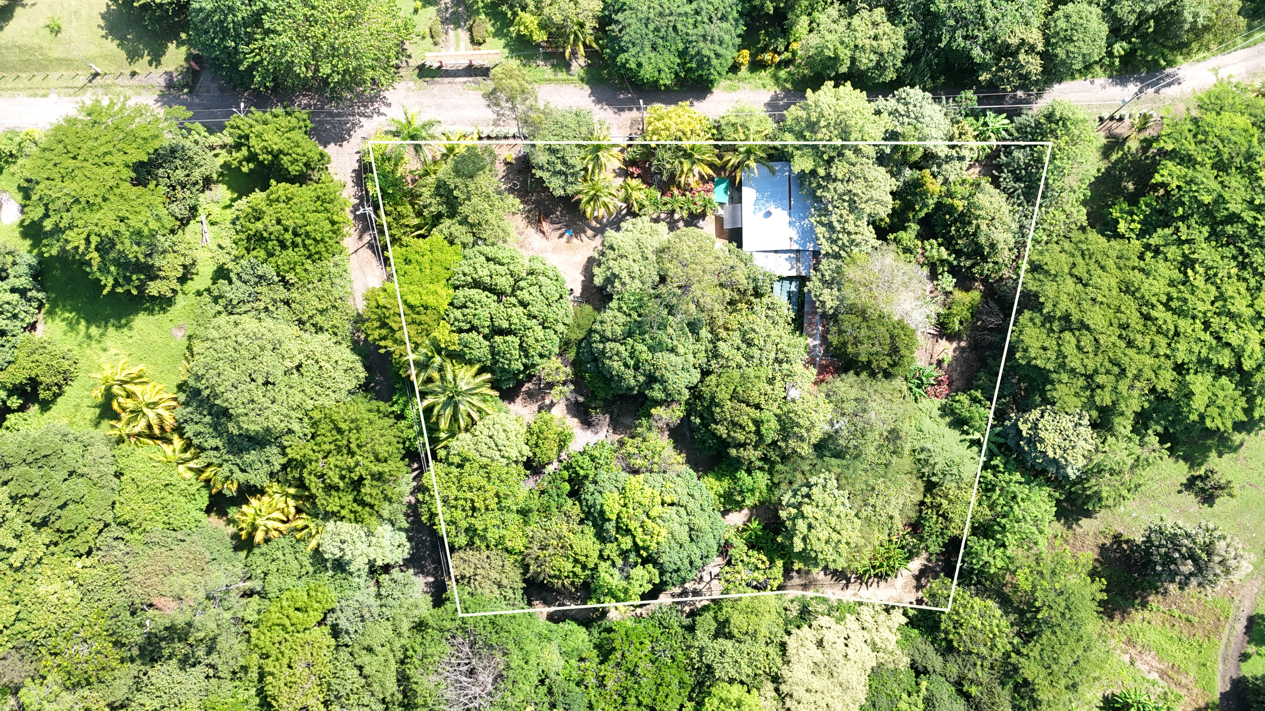 COUNTRY SIDE HOUSE FOR SALE QUINTAS DON MIGUEL - BAGACES