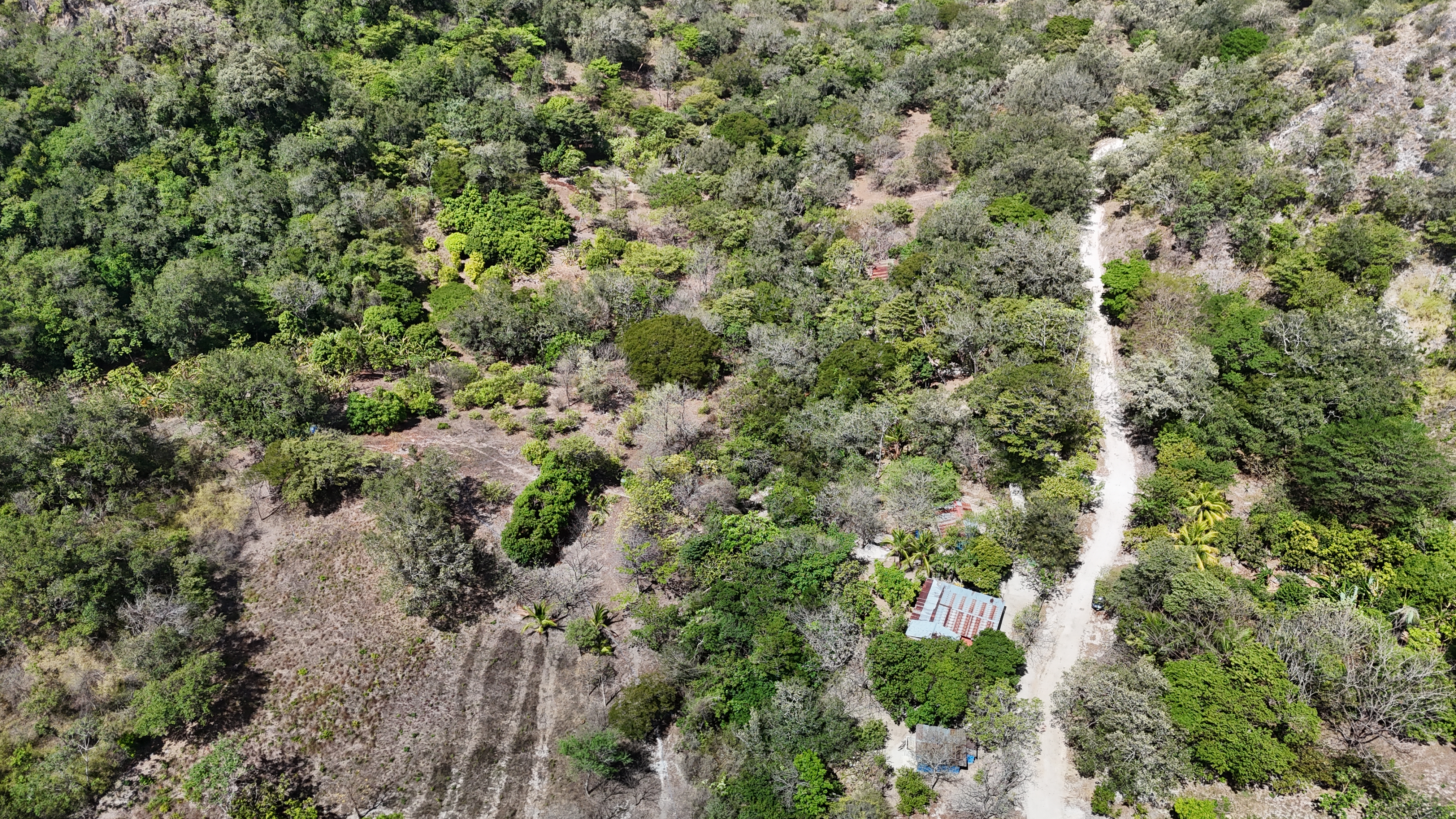 FINCA EN VENTA - EL ESCOBIO | LIBERIA