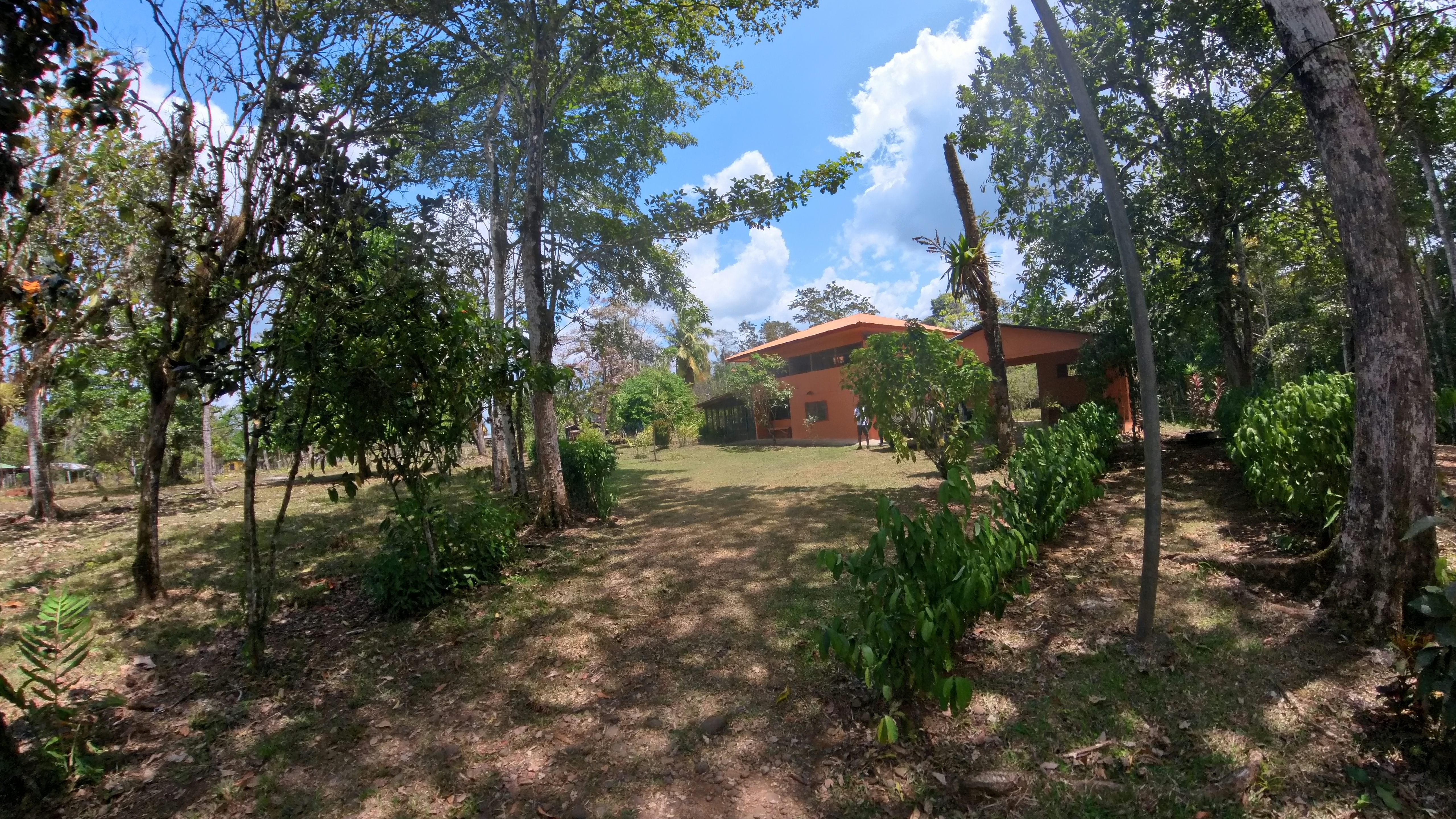 Rosibel Farm, Birdwatching paradise, La Verbena, Upala, Costa Rica