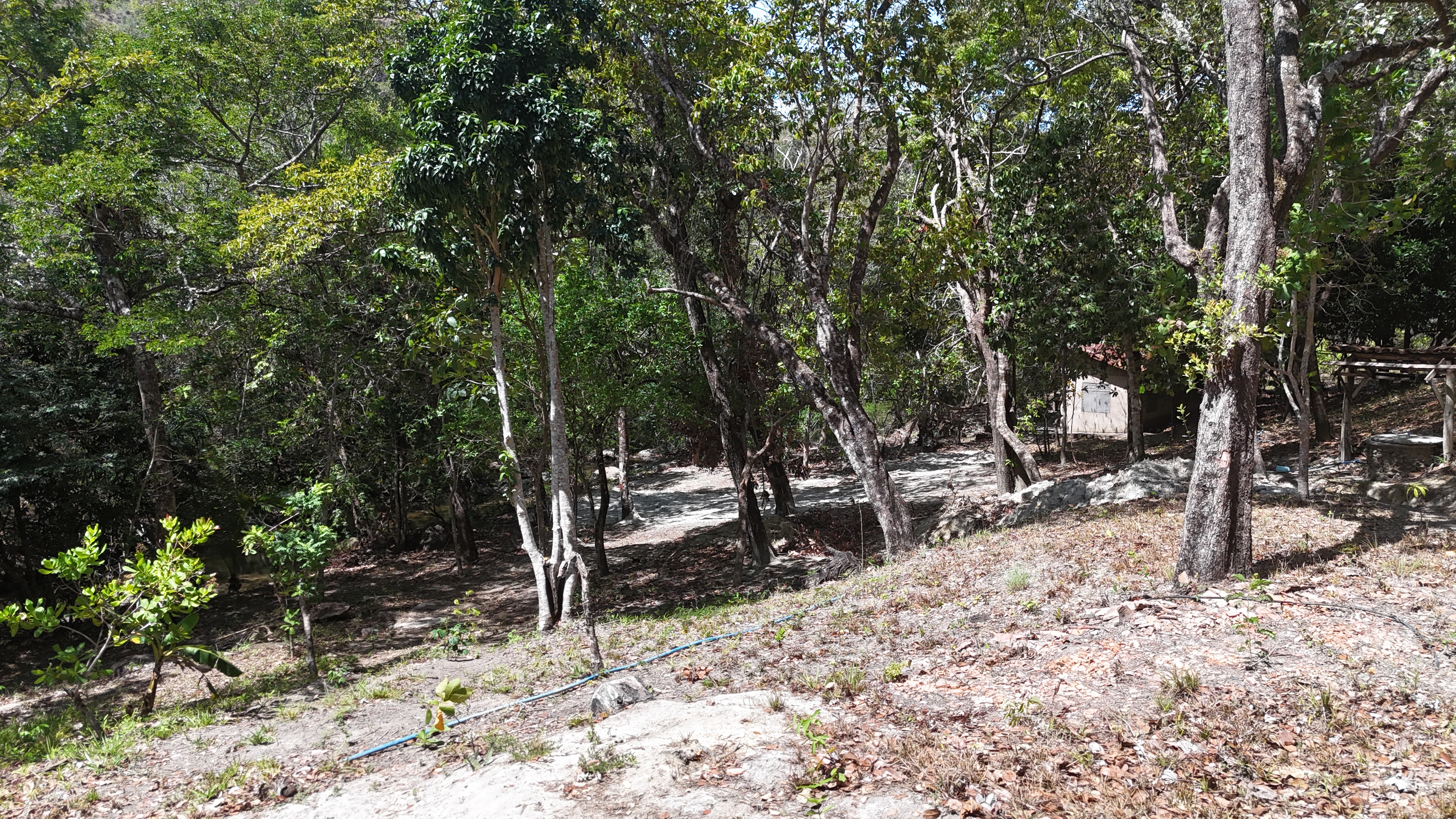 FINCA EN VENTA - EL ESCOBIO | LIBERIA