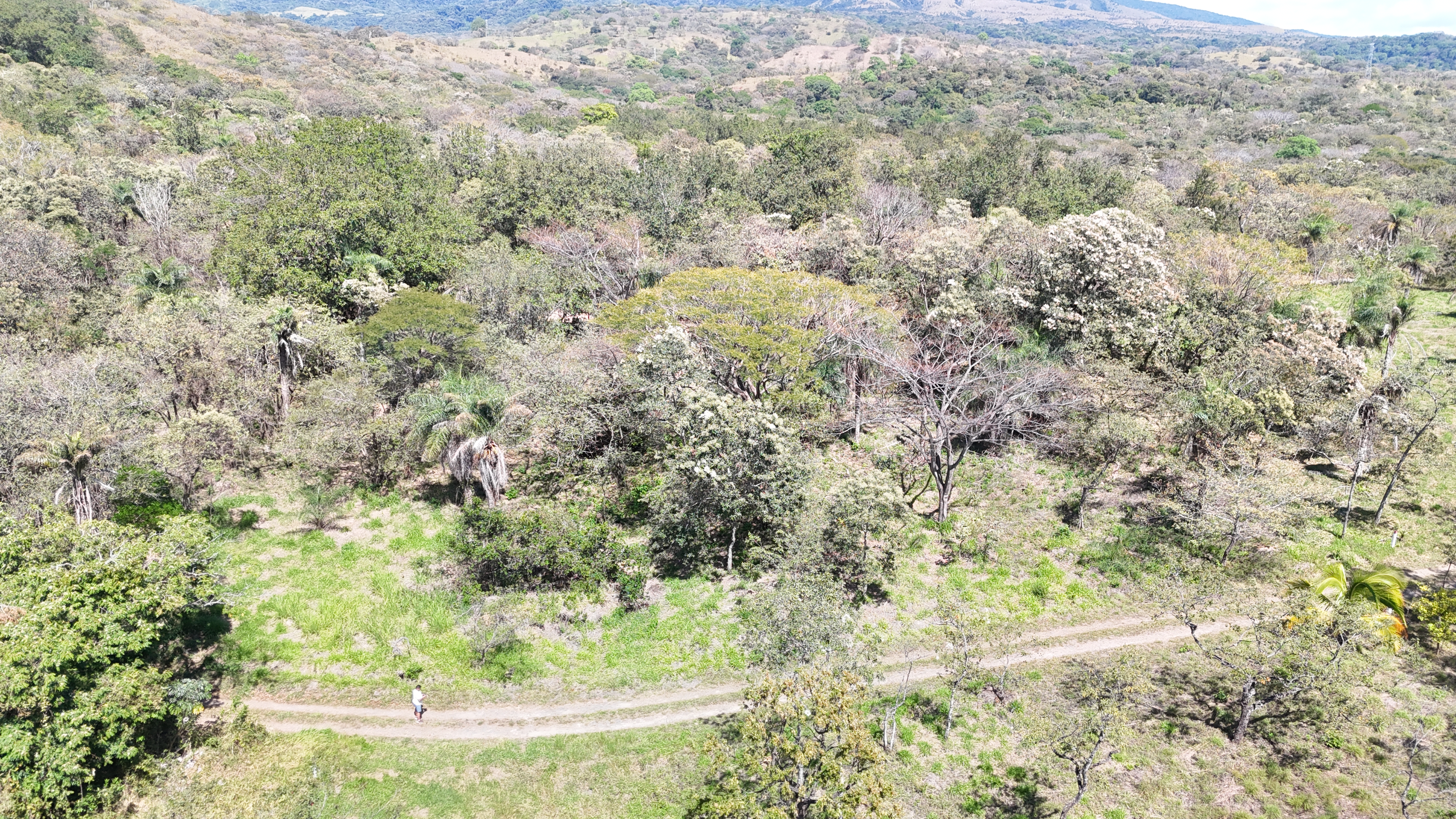LAND FOR SALE RANCHO SAN ROQUE, RINCON DE LA VIEJA FOOTHILLS - LIBERIA