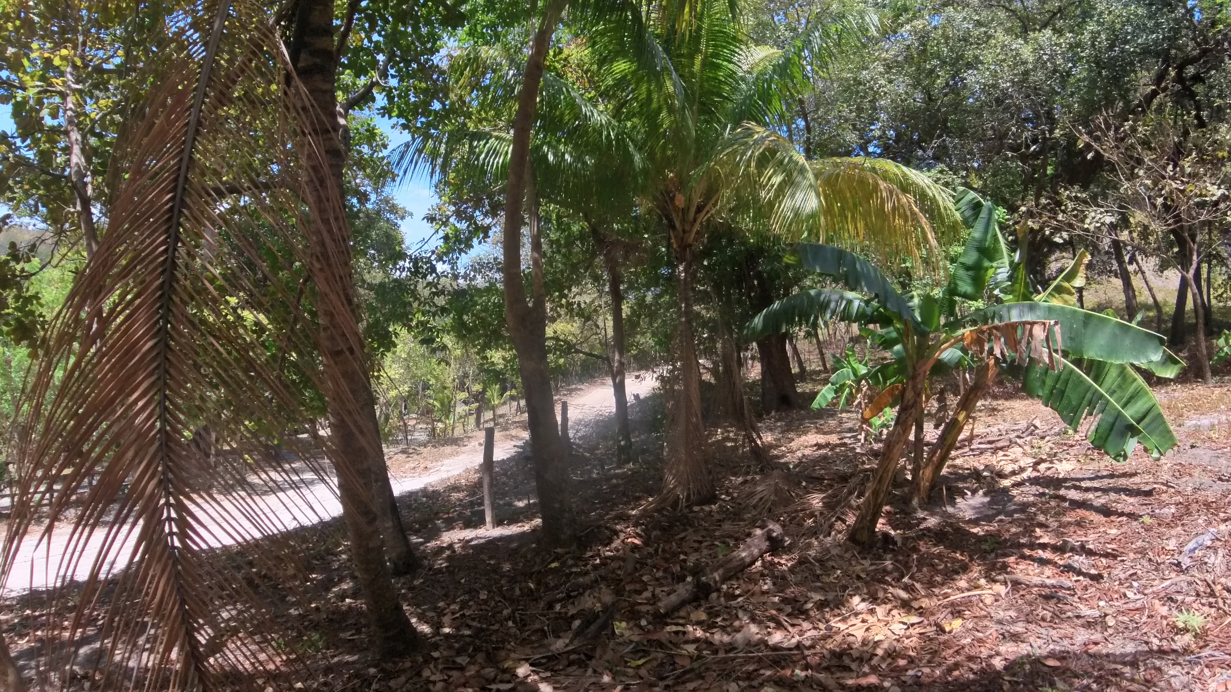 FINCA EN VENTA - EL ESCOBIO | LIBERIA