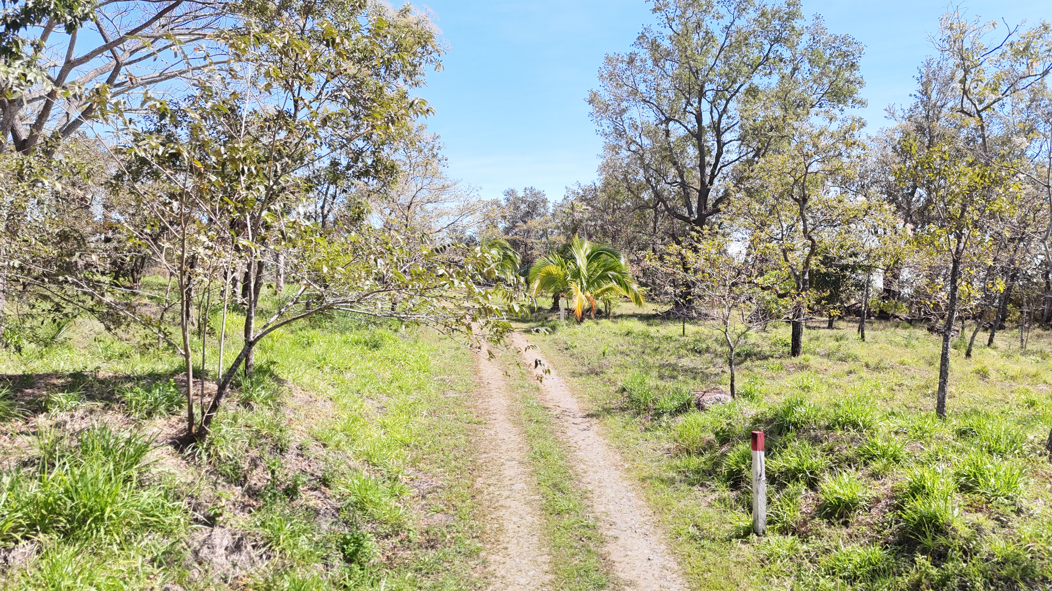 LAND FOR SALE RANCHO SAN ROQUE, RINCON DE LA VIEJA FOOTHILLS - LIBERIA
