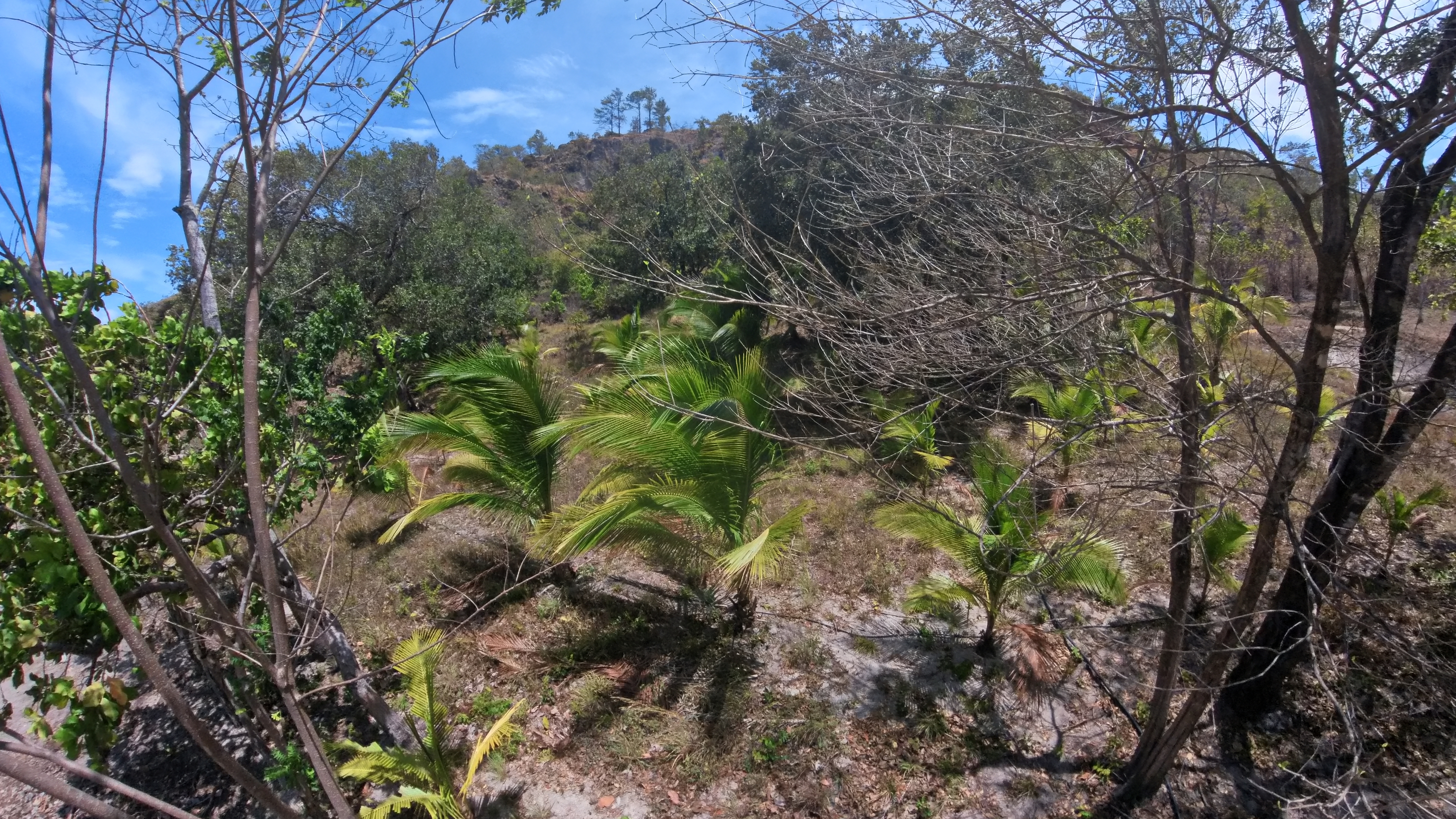 FINCA EN VENTA - EL ESCOBIO | LIBERIA