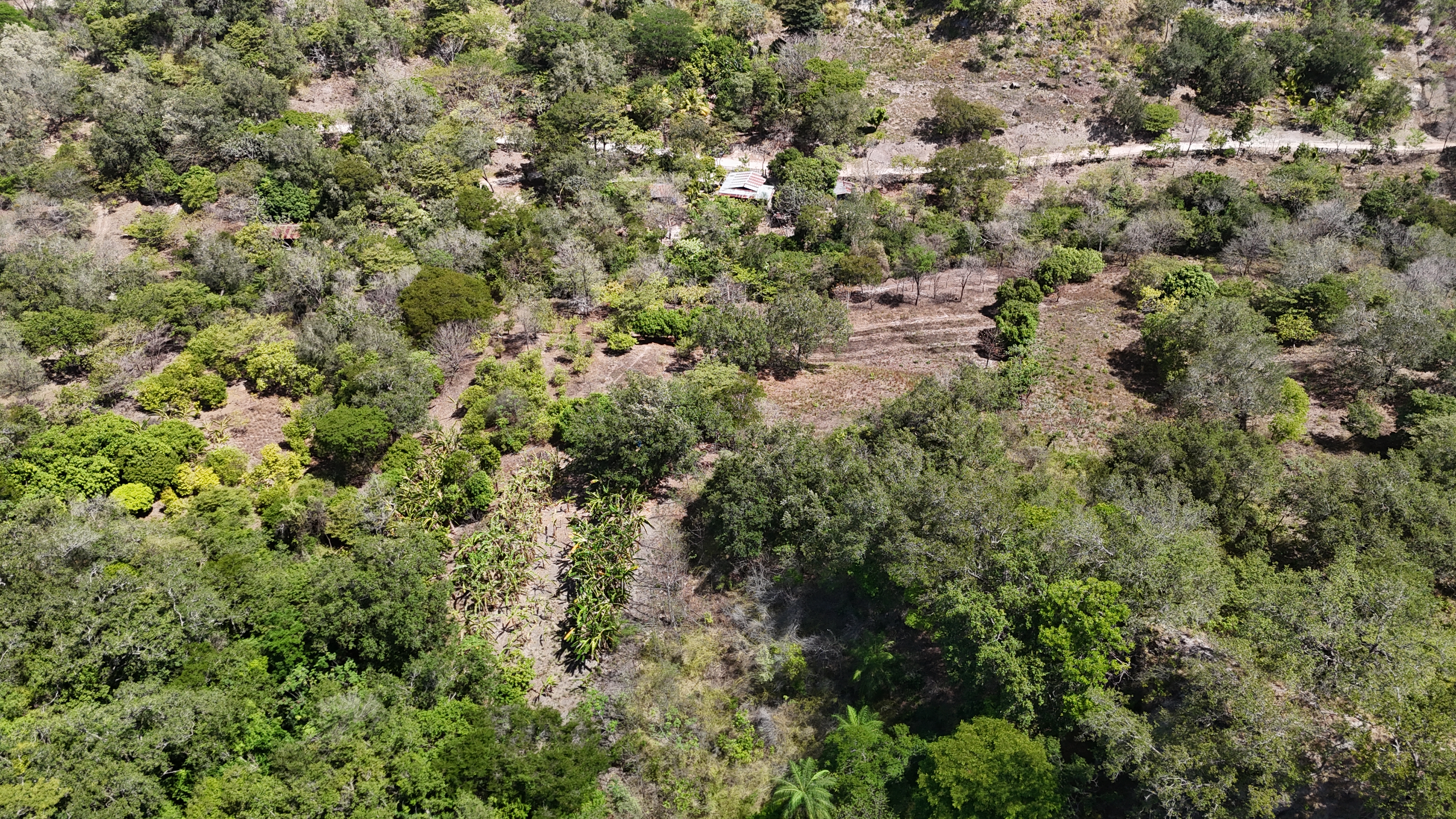 FINCA EN VENTA - EL ESCOBIO | LIBERIA