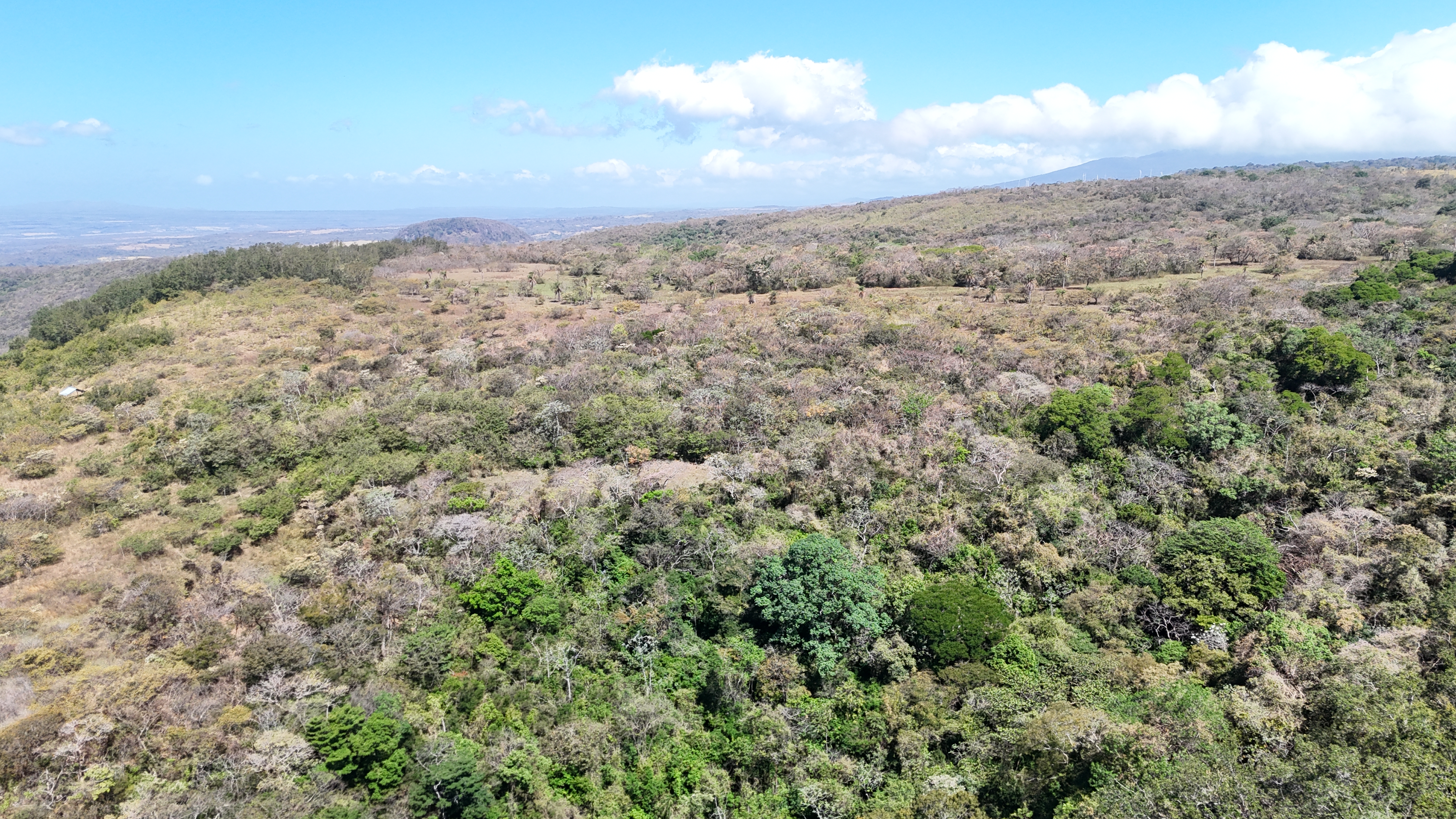 LAND FOR SALE RANCHO SAN ROQUE, RINCON DE LA VIEJA FOOTHILLS - LIBERIA