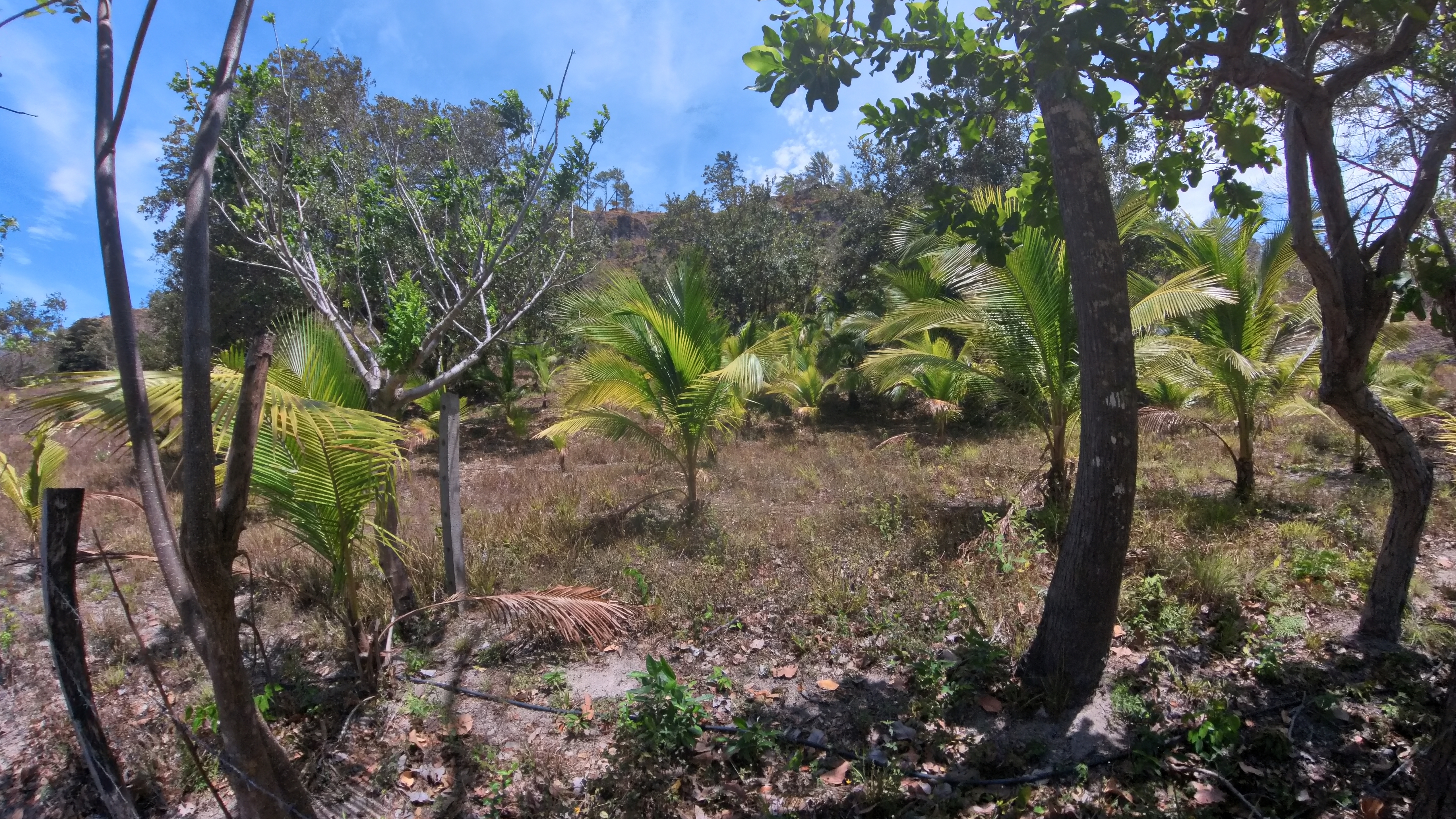 FINCA EN VENTA - EL ESCOBIO | LIBERIA