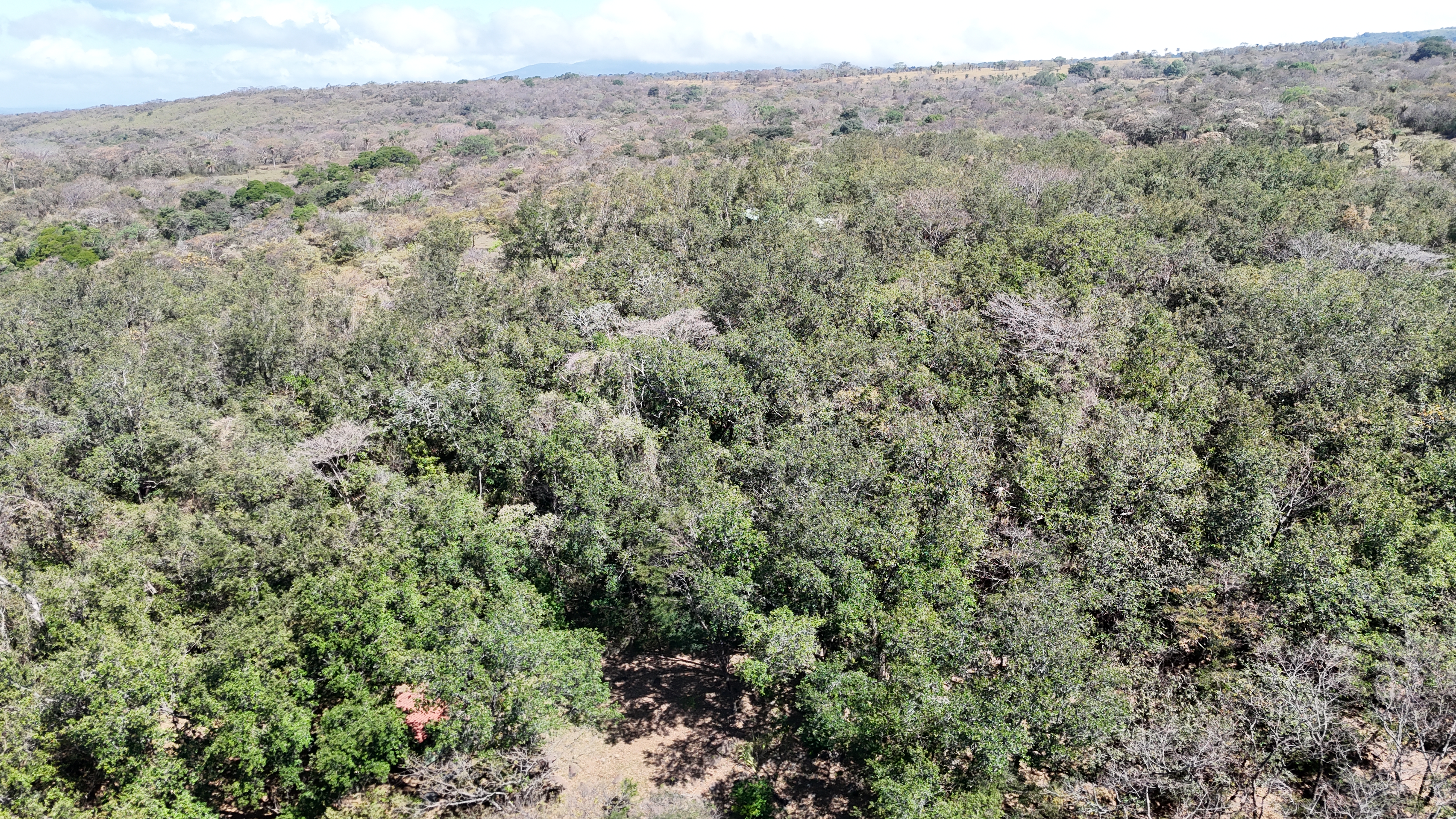 LAND FOR SALE RANCHO SAN ROQUE, RINCON DE LA VIEJA FOOTHILLS - LIBERIA