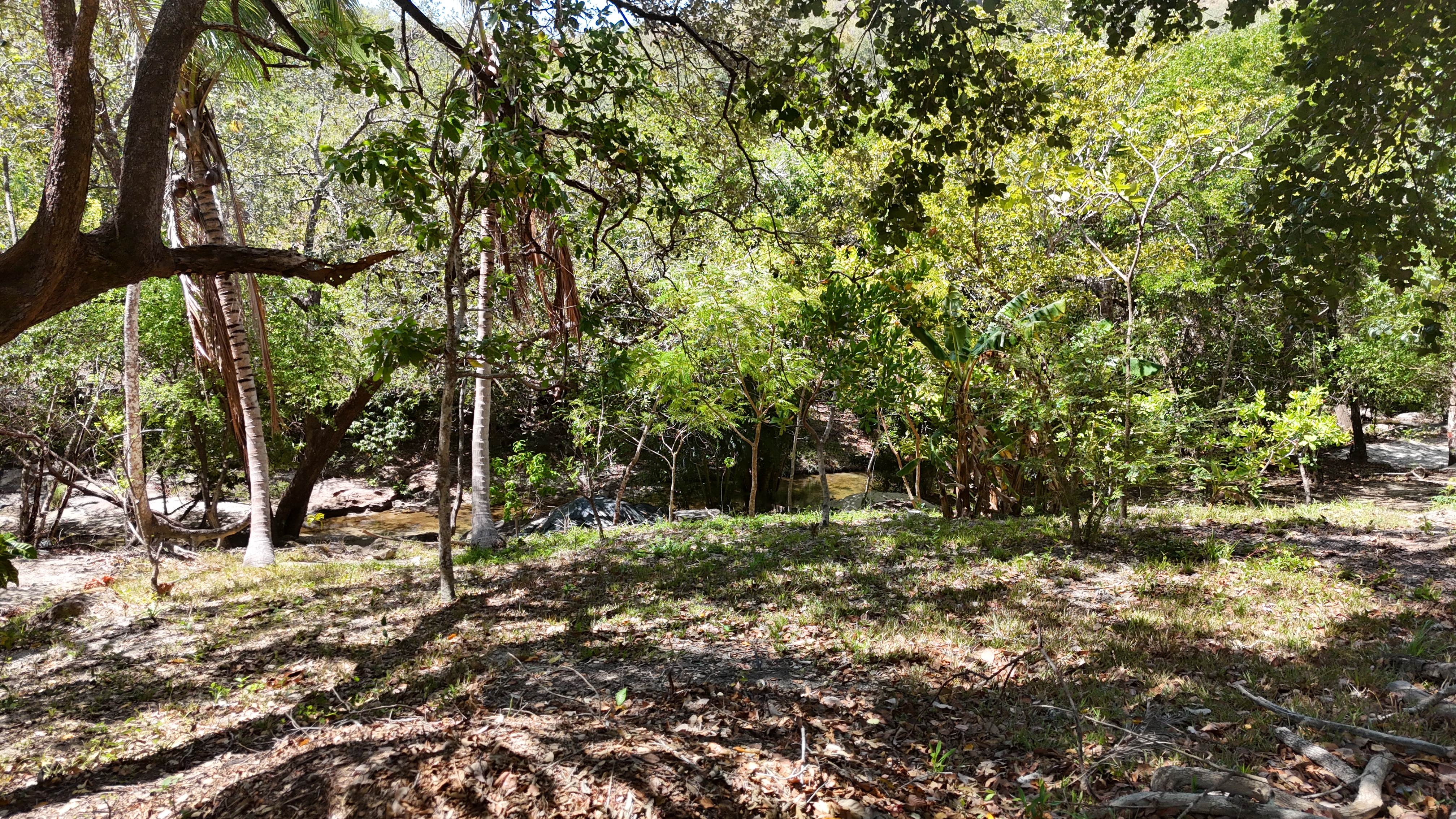 FINCA EN VENTA - EL ESCOBIO | LIBERIA