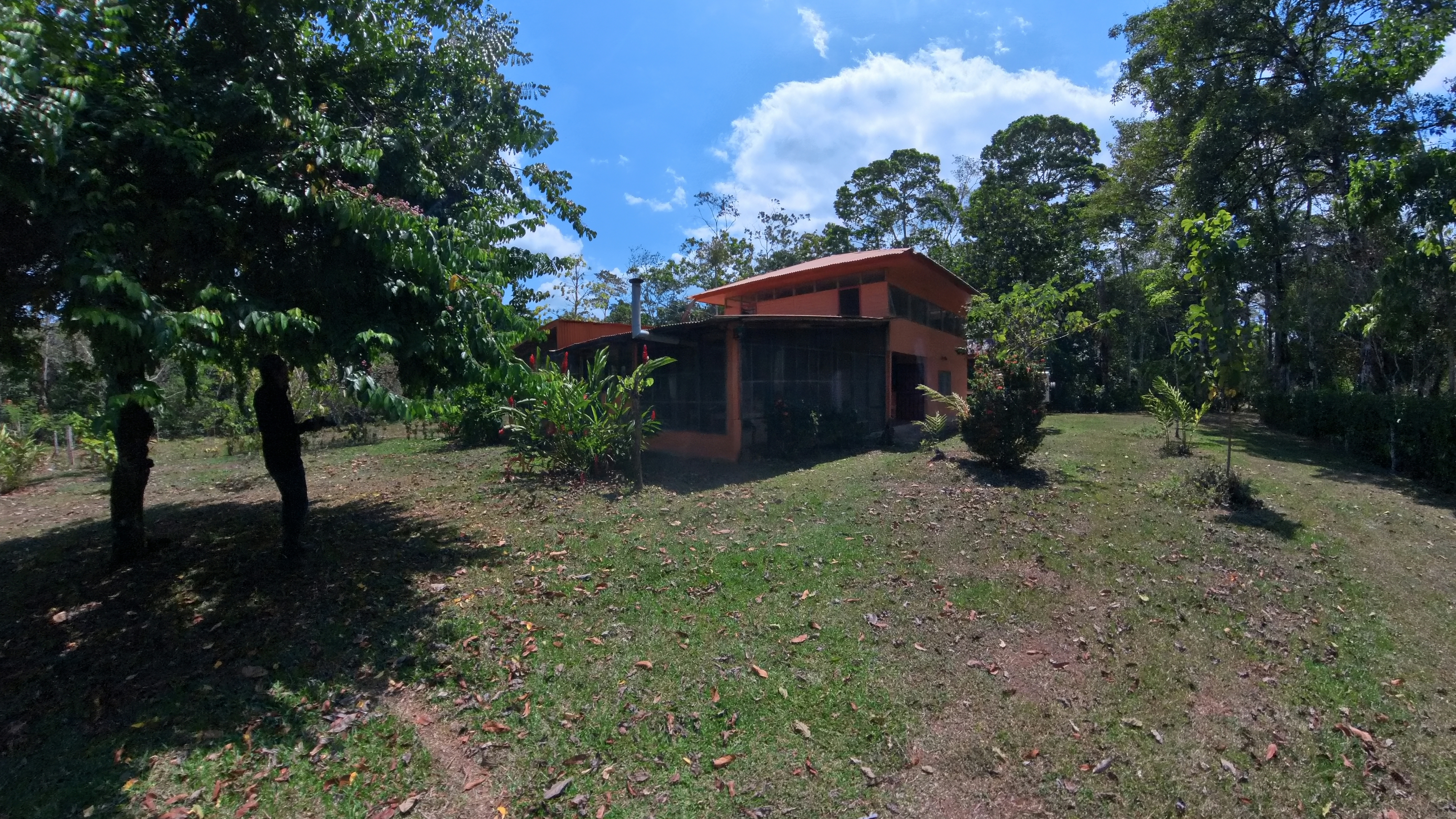 Rosibel Farm, Birdwatching paradise, La Verbena, Upala, Costa Rica