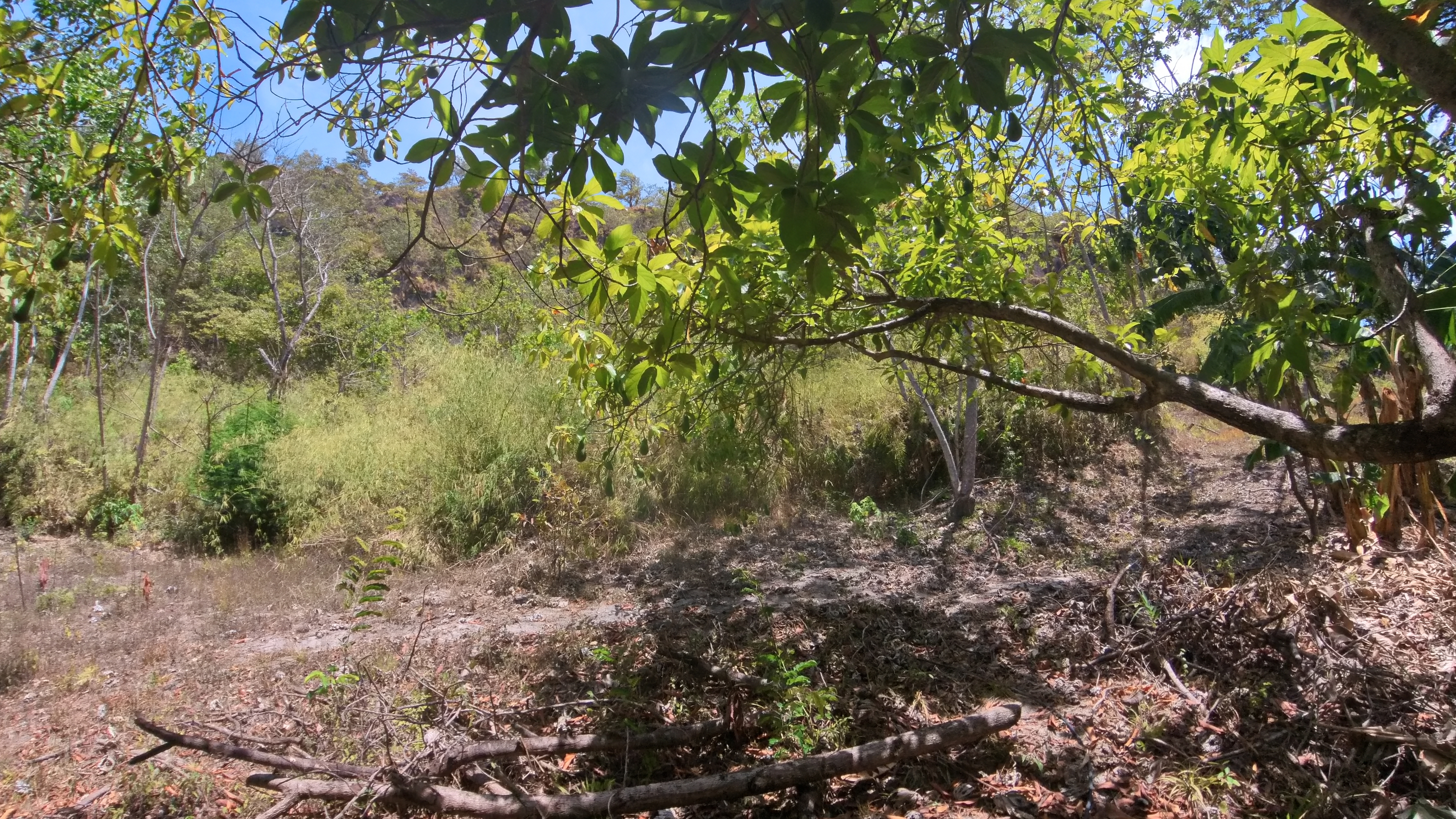 FINCA EN VENTA - EL ESCOBIO | LIBERIA