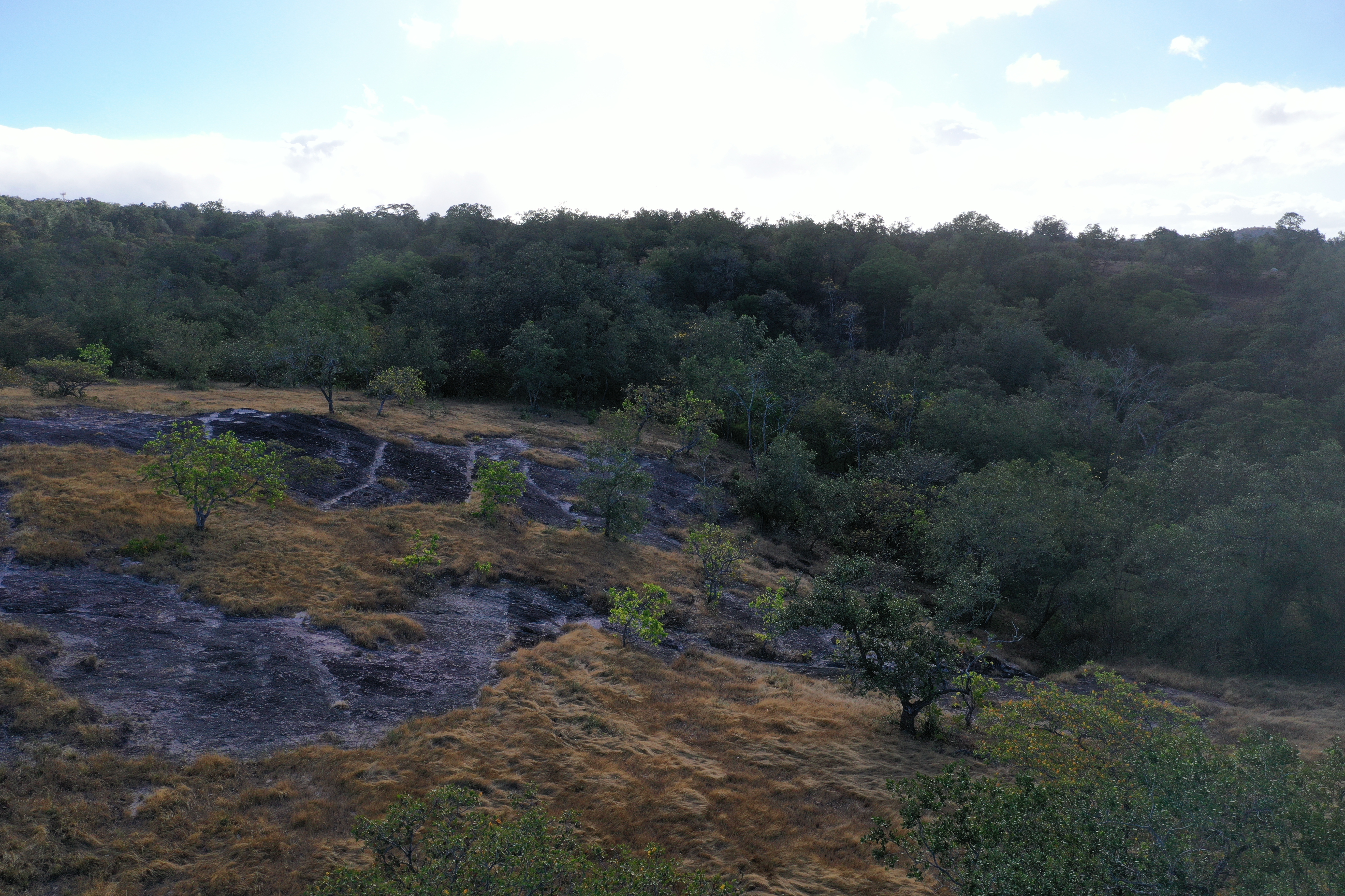 FARM FOR SALE - CURUBANDE | LIBERIA