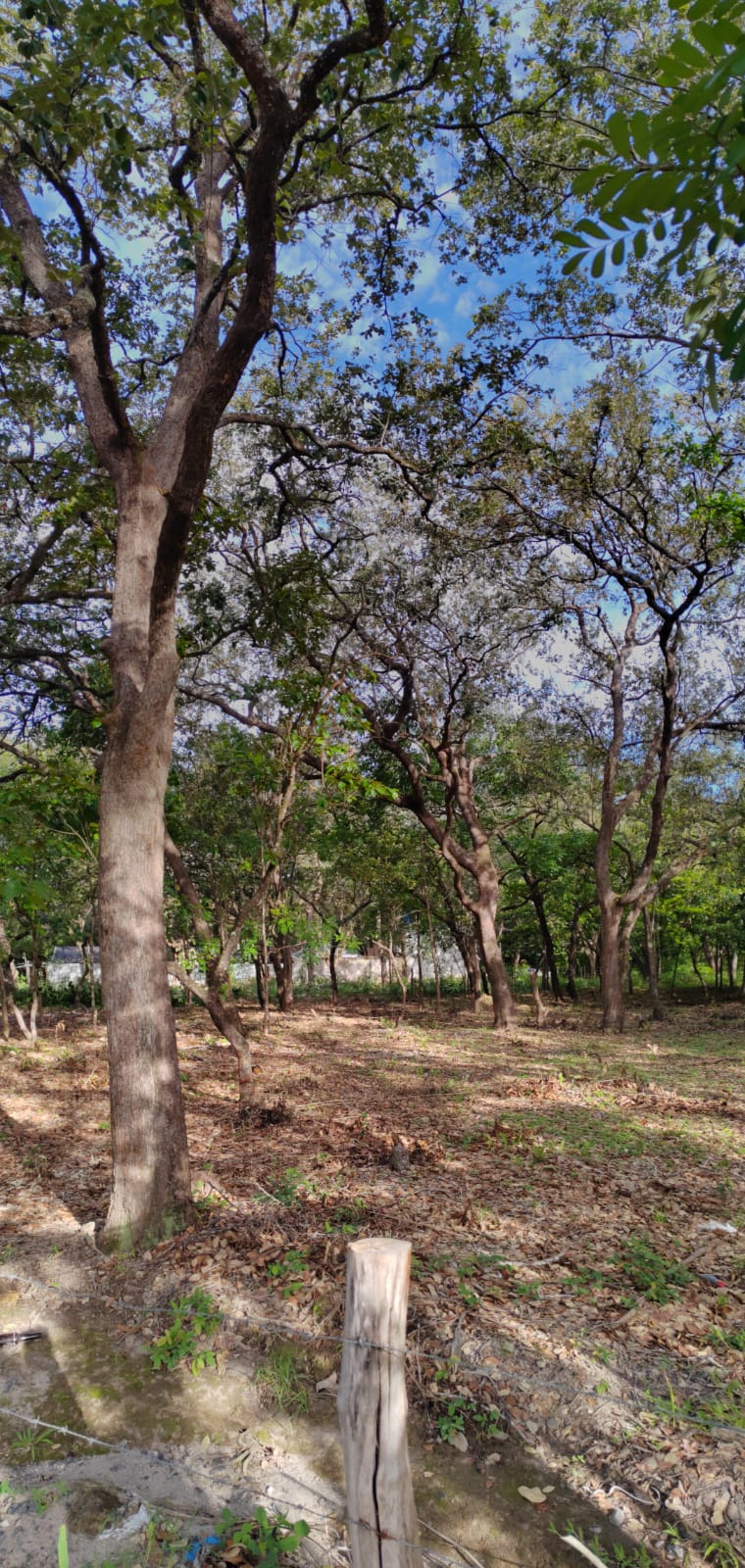 Se Vende Lote de 1986 m2, Guadalupe, Liberia, Guanacaste
