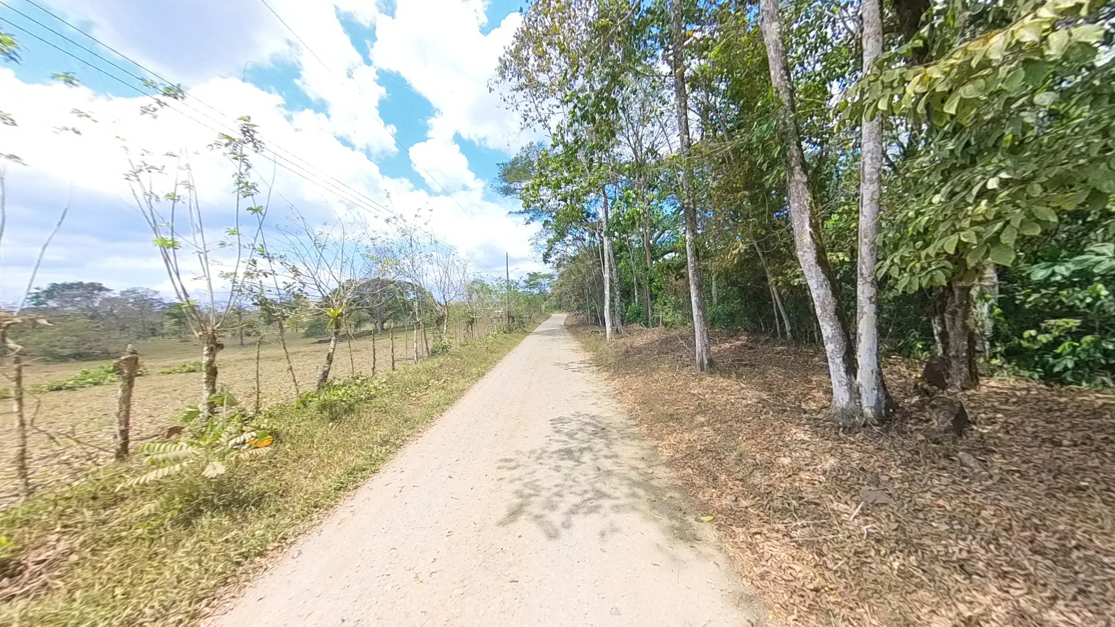 Rosibel Farm, Birdwatching paradise, La Verbena, Upala, Costa Rica